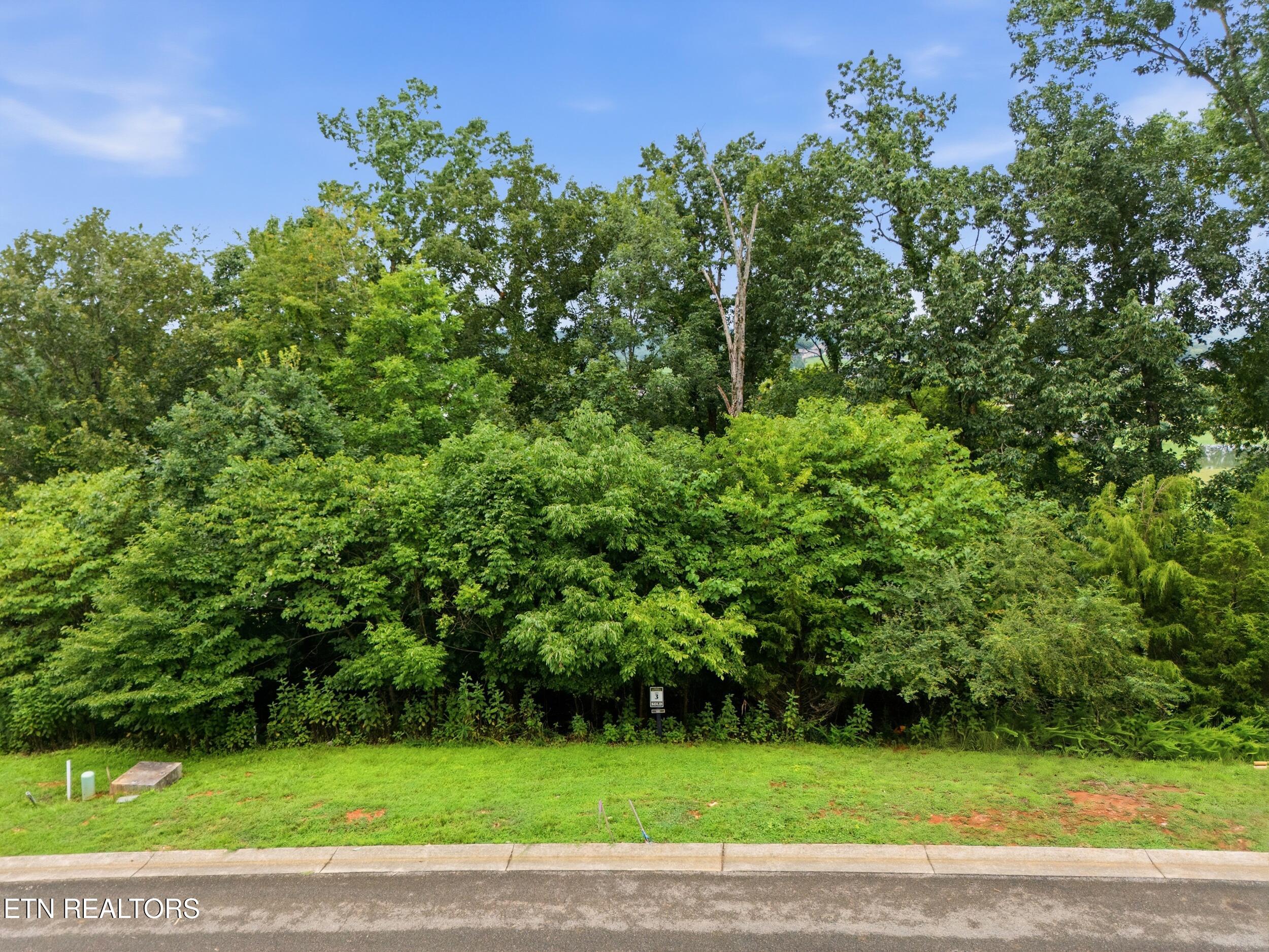 529 Black Cove Lane Loudon TN 37774