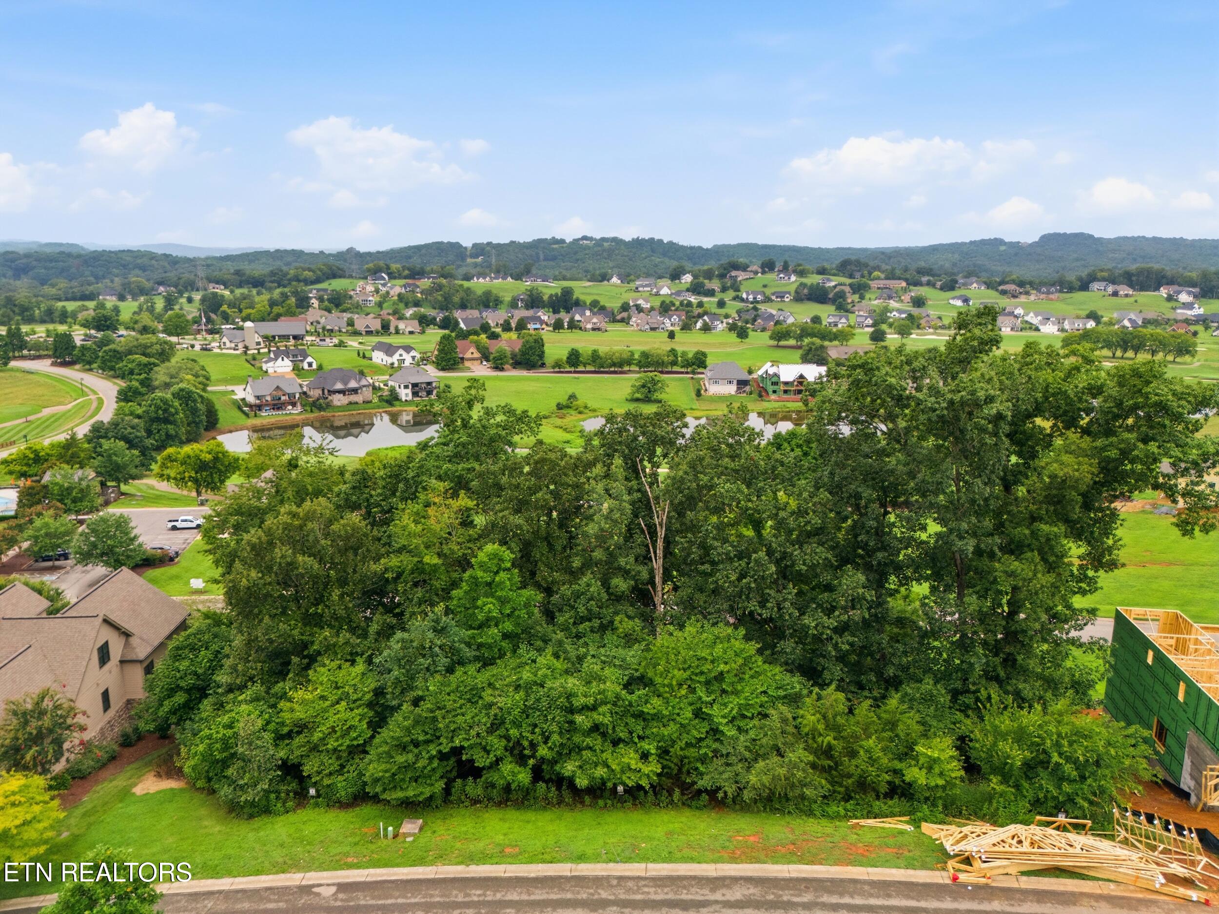 529 Black Cove Lane Loudon TN 37774