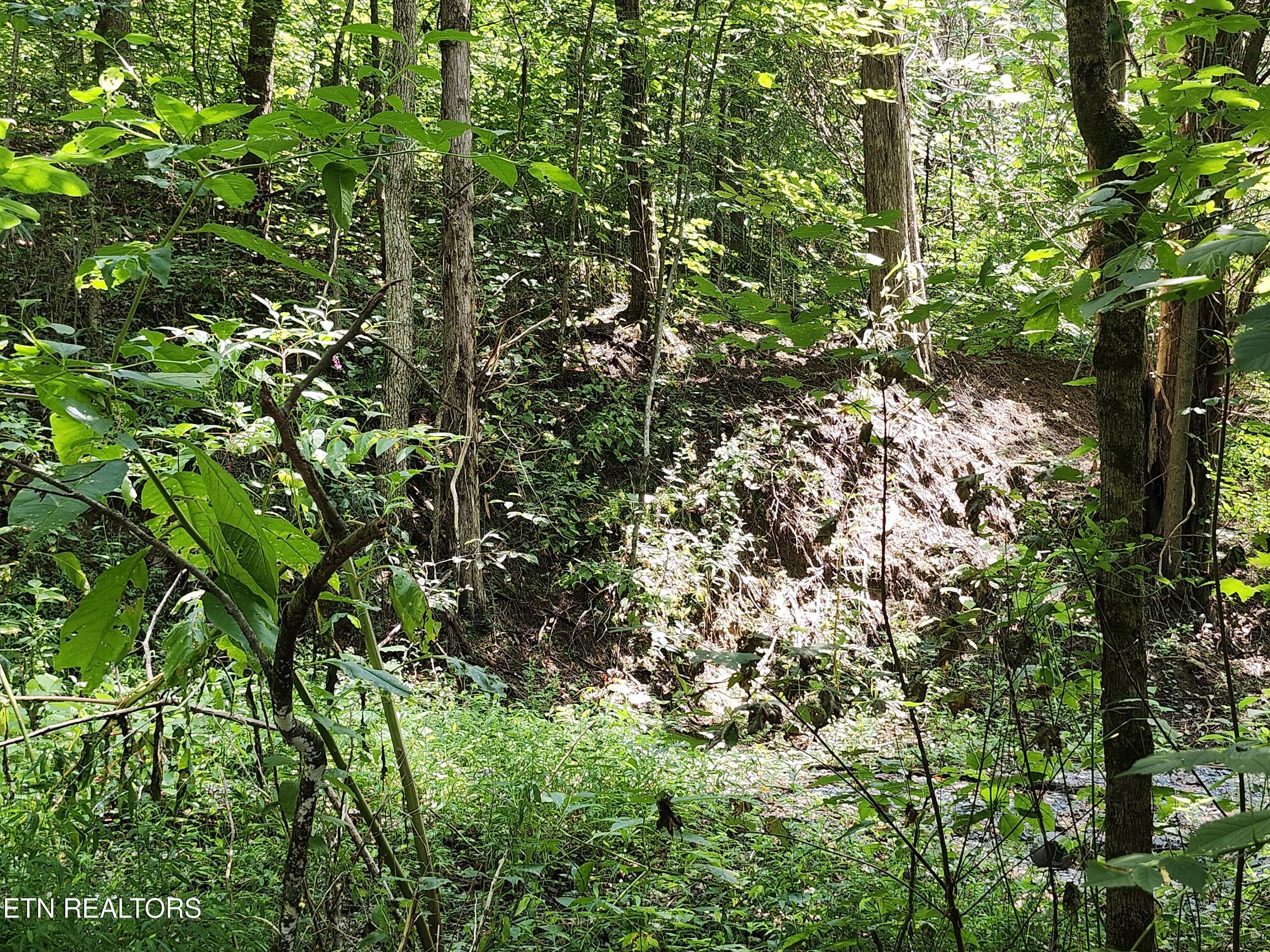340 Swadis Drive Sevierville TN 37876