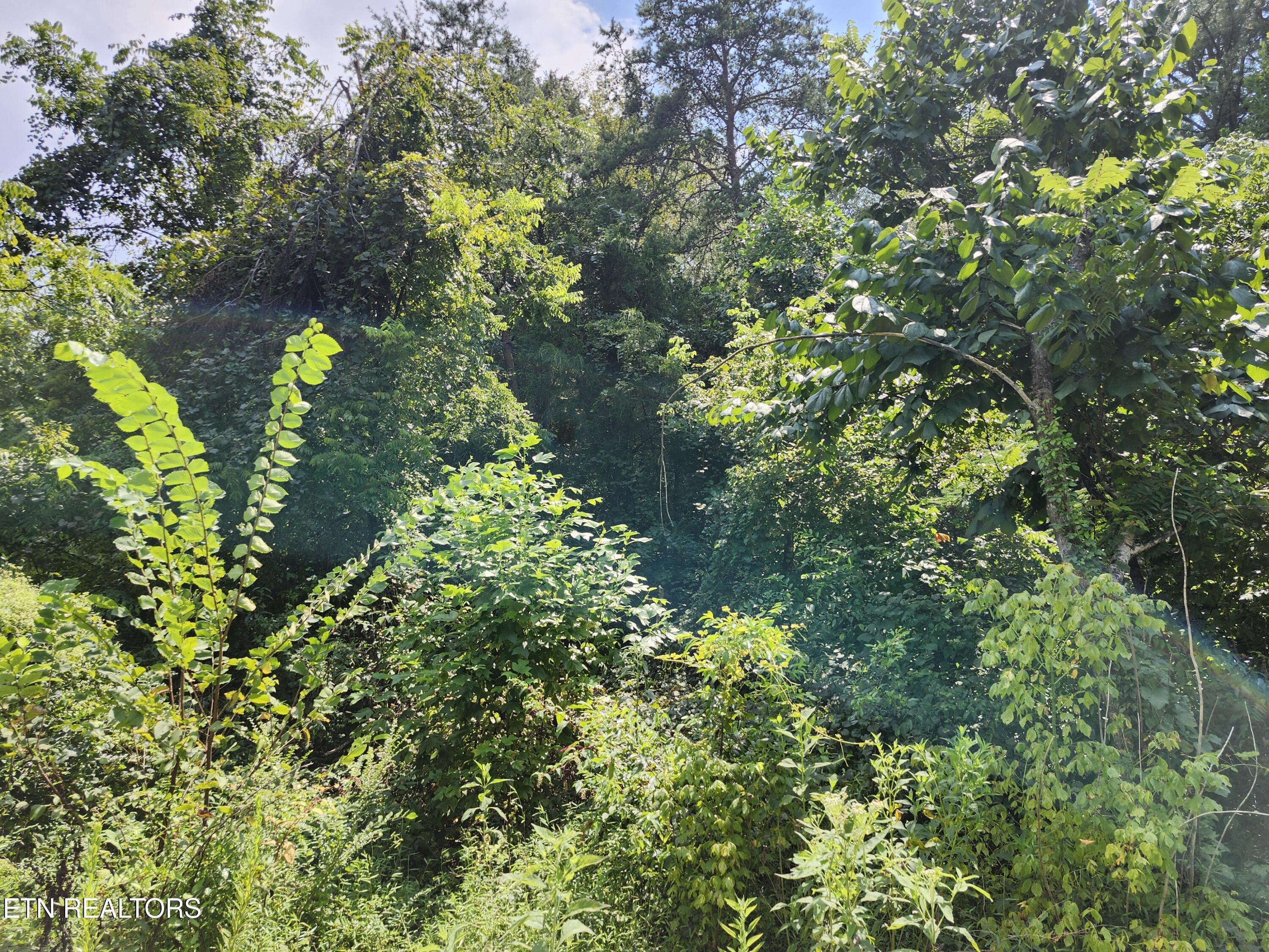340 Swadis Drive Sevierville TN 37876