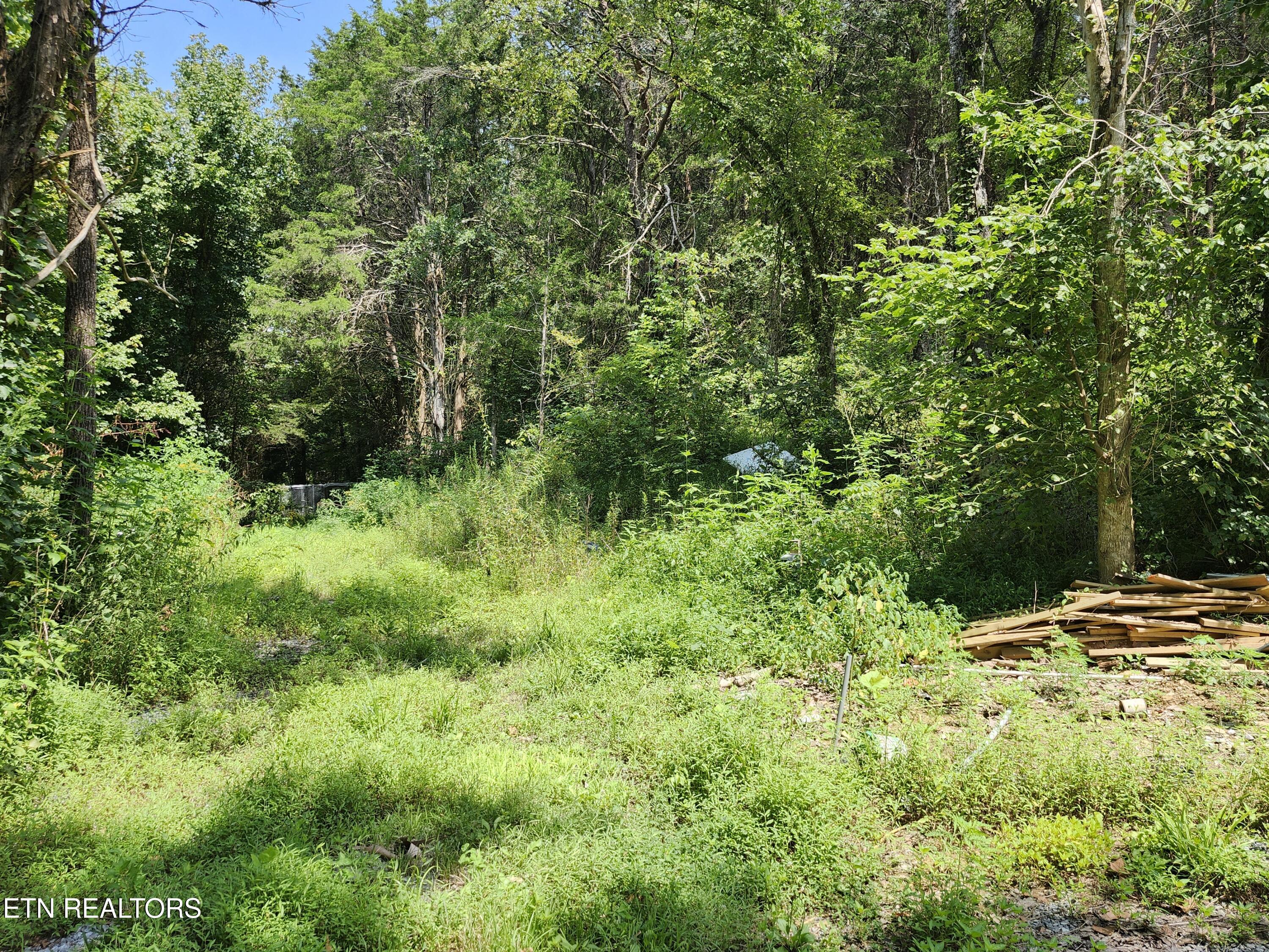 340 Swadis Drive Sevierville TN 37876
