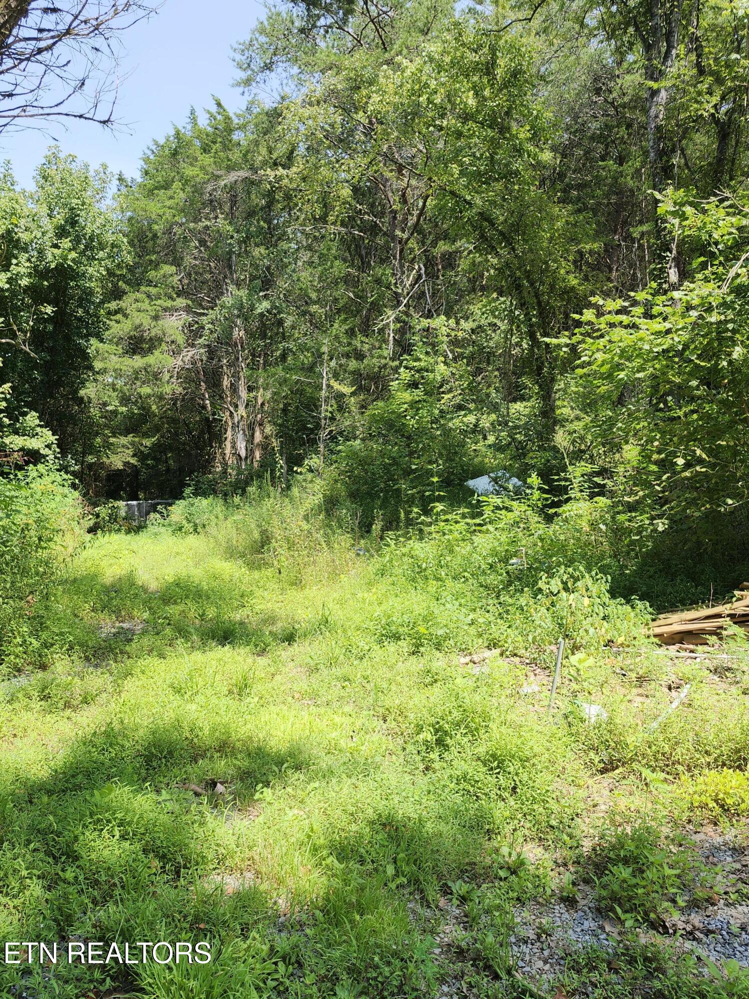 340 Swadis Drive Sevierville TN 37876