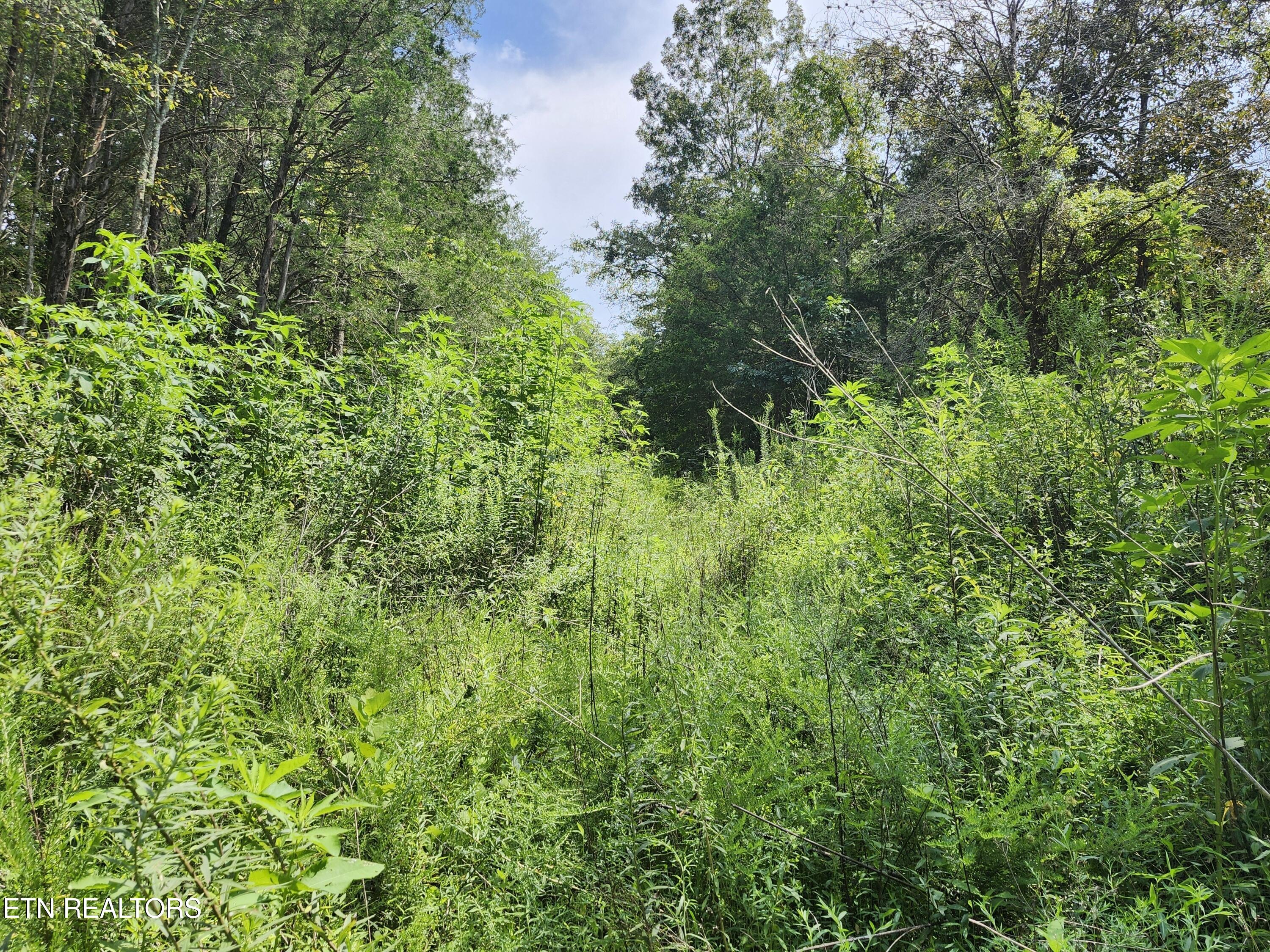 340 Swadis Drive Sevierville TN 37876