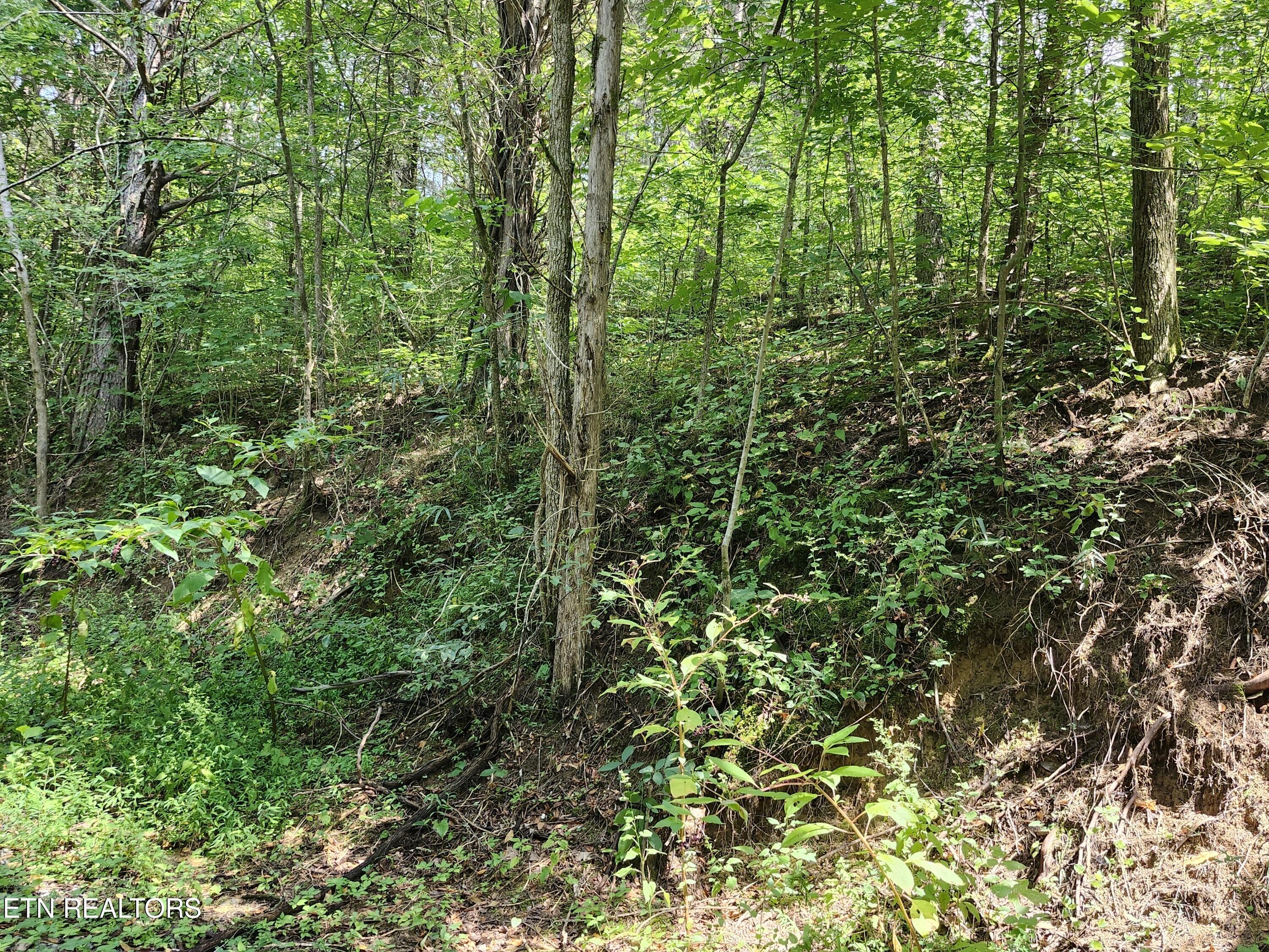340 Swadis Drive Sevierville TN 37876