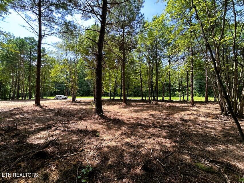 34 Acres State Highway 304 Ten Mile TN 37880