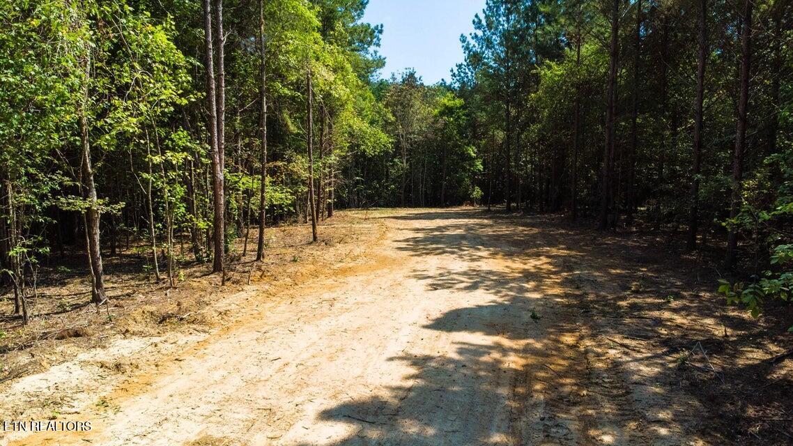 34 Acres State Highway 304 Ten Mile TN 37880