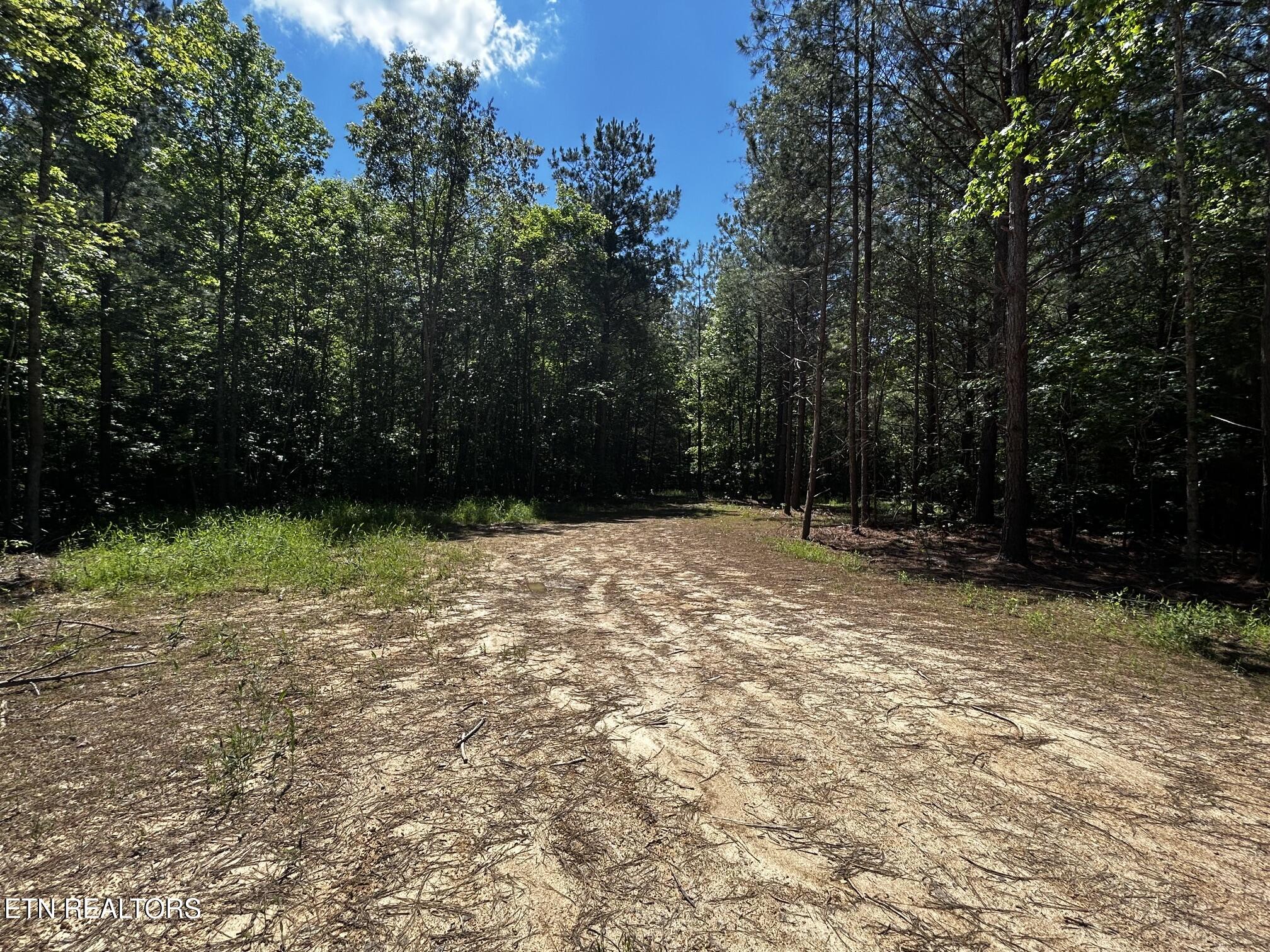 34 Acres State Highway 304 Ten Mile TN 37880