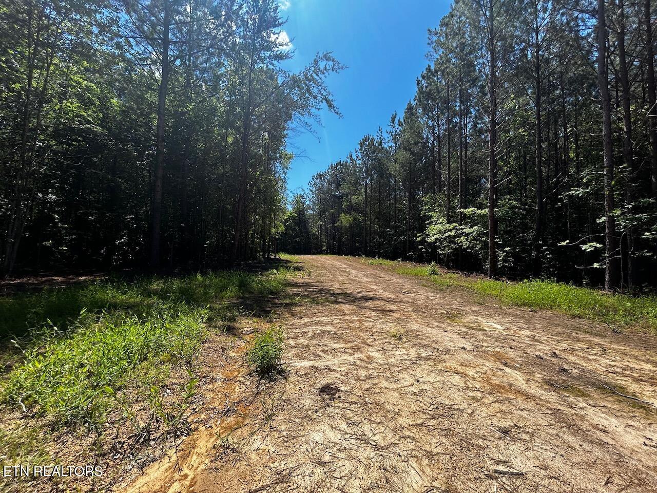 34 Acres State Highway 304 Ten Mile TN 37880