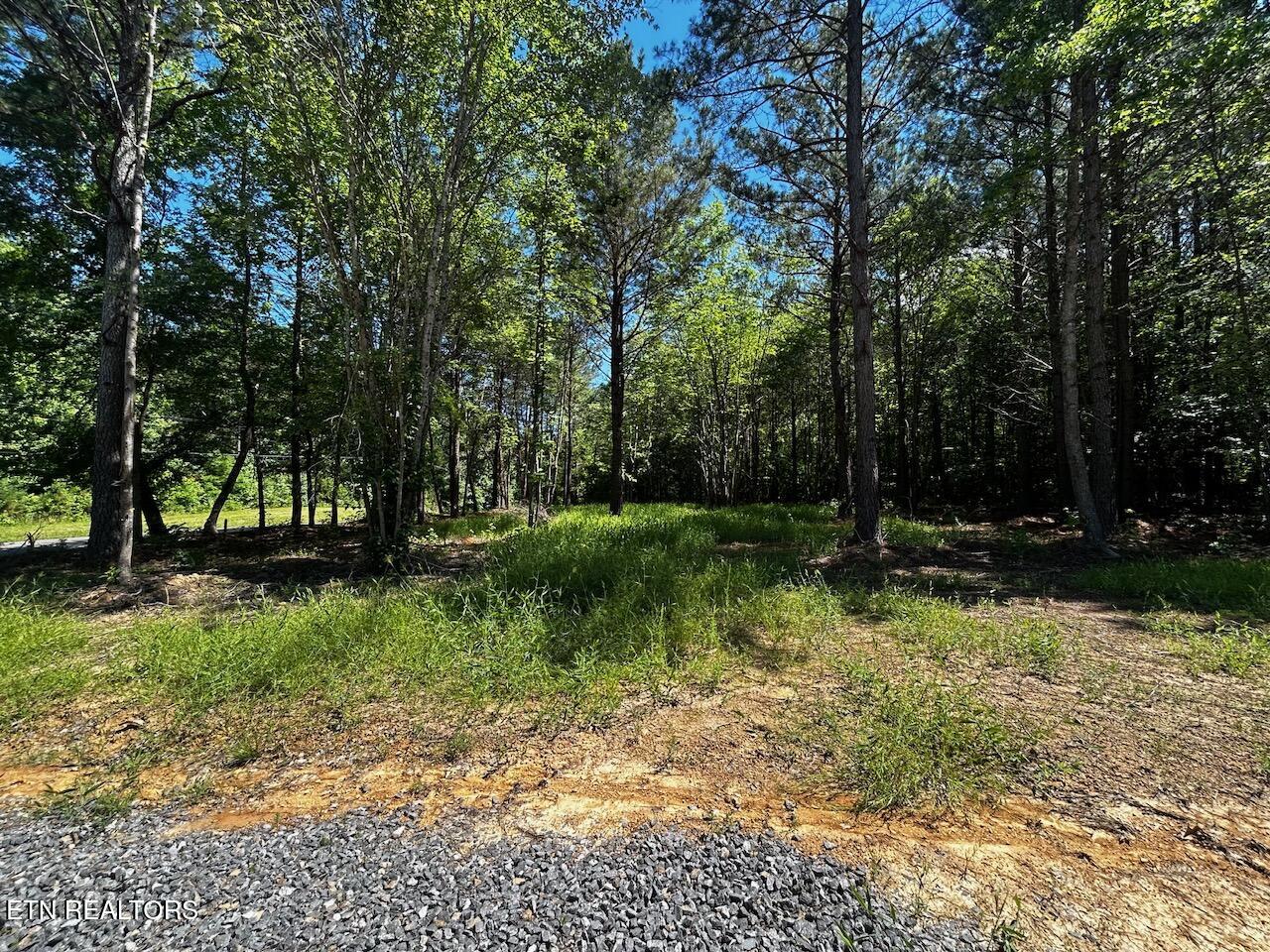 34 Acres State Highway 304 Ten Mile TN 37880