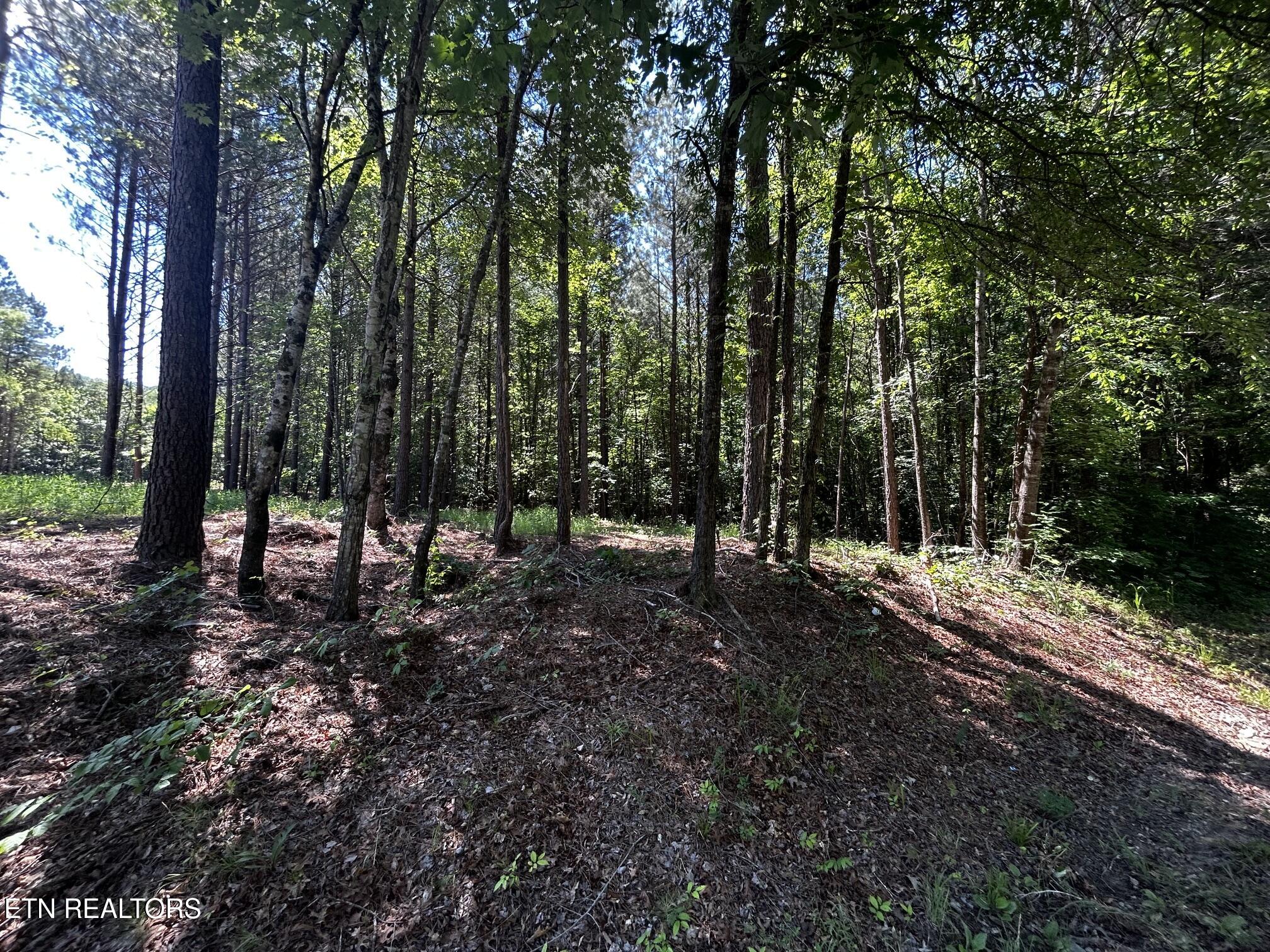 34 Acres State Highway 304 Ten Mile TN 37880