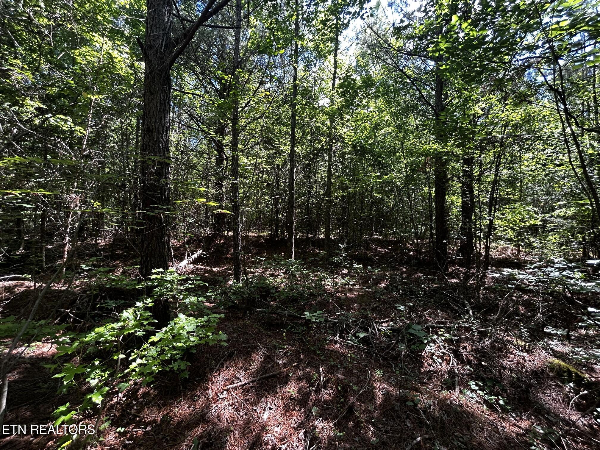 34 Acres State Highway 304 Ten Mile TN 37880