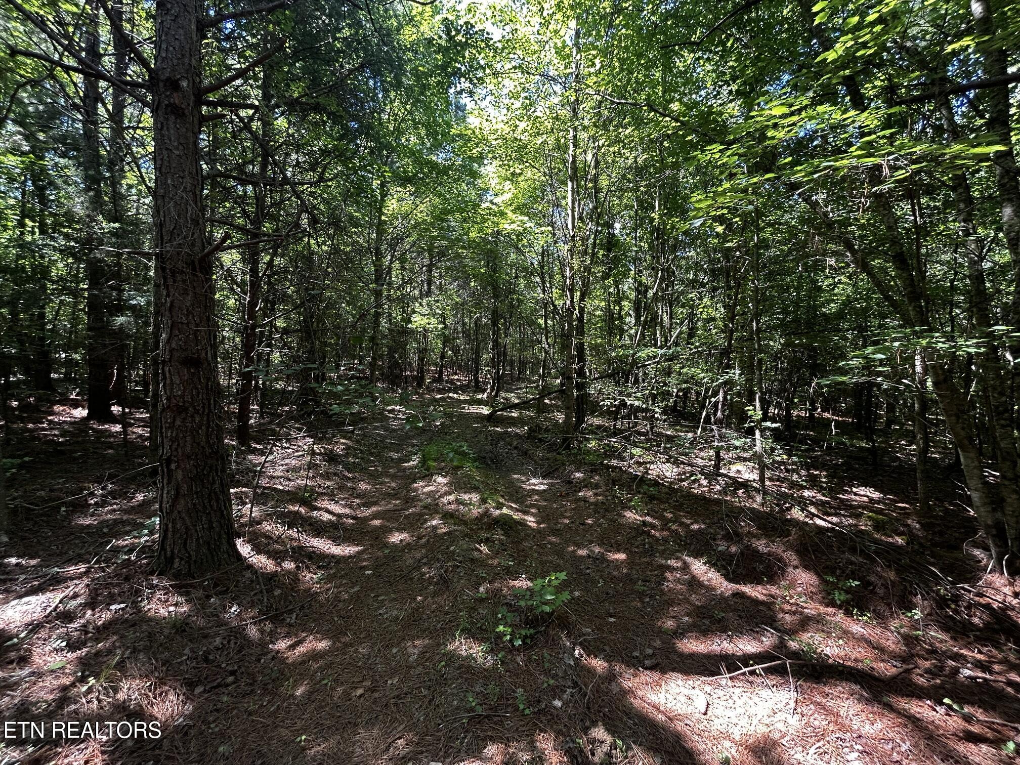 34 Acres State Highway 304 Ten Mile TN 37880