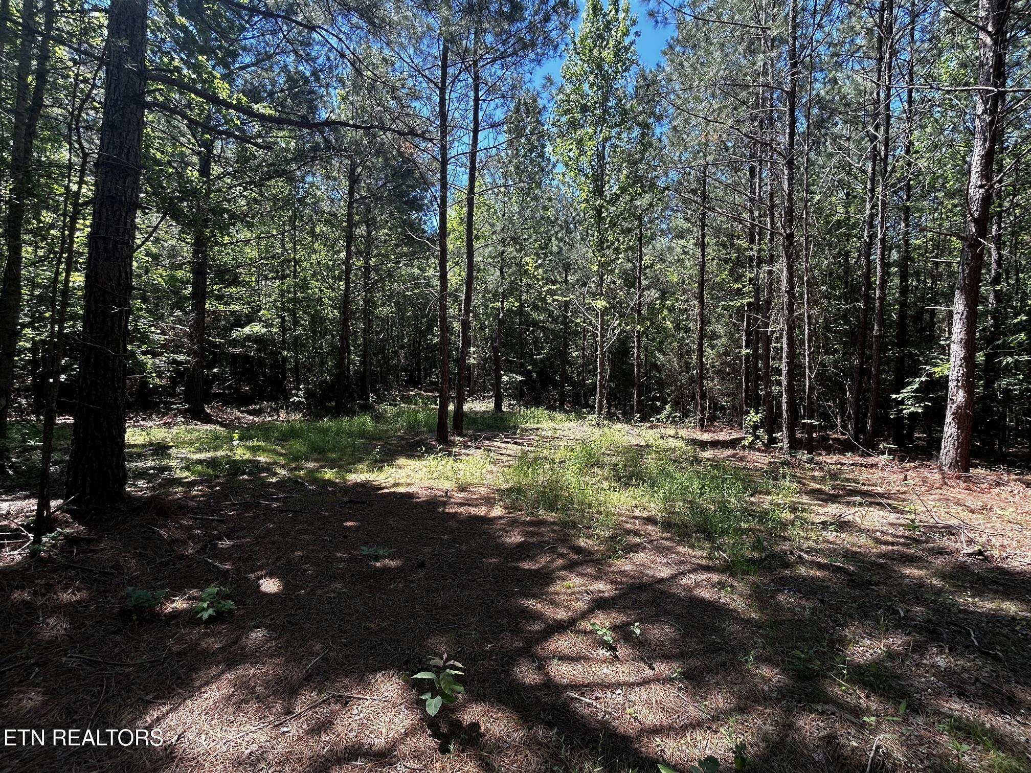 34 Acres State Highway 304 Ten Mile TN 37880