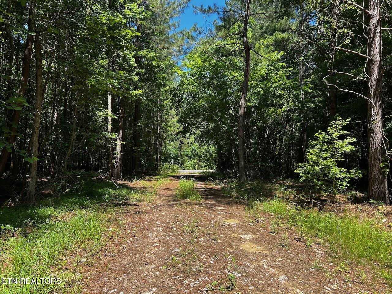34 Acres State Highway 304 Ten Mile TN 37880