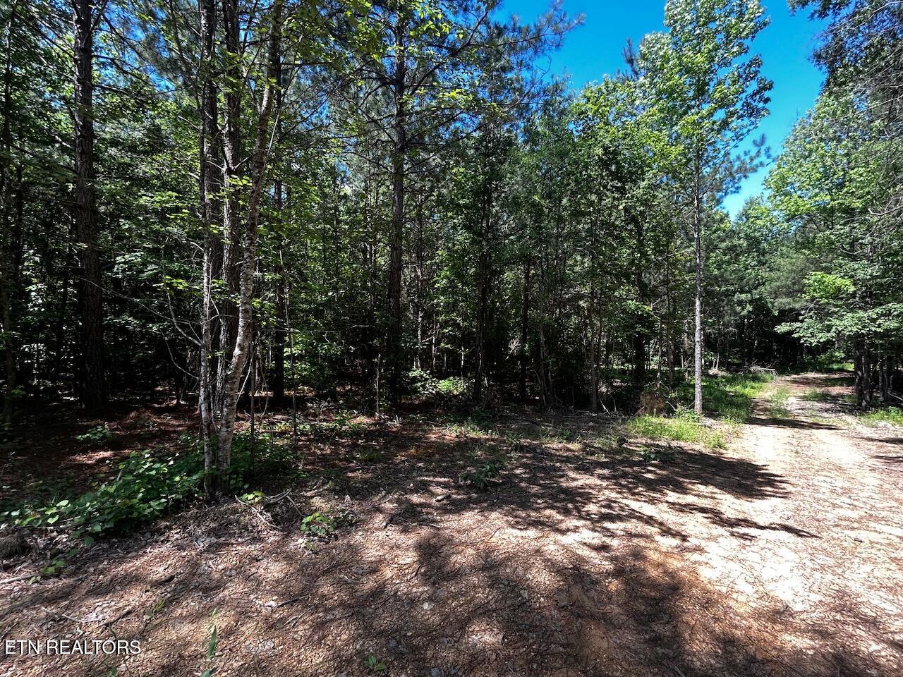 34 Acres State Highway 304 Ten Mile TN 37880