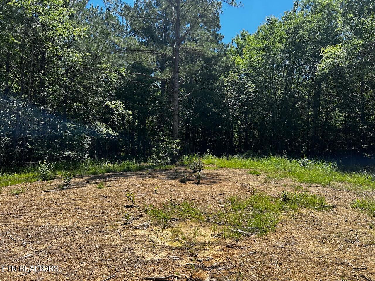 34 Acres State Highway 304 Ten Mile TN 37880