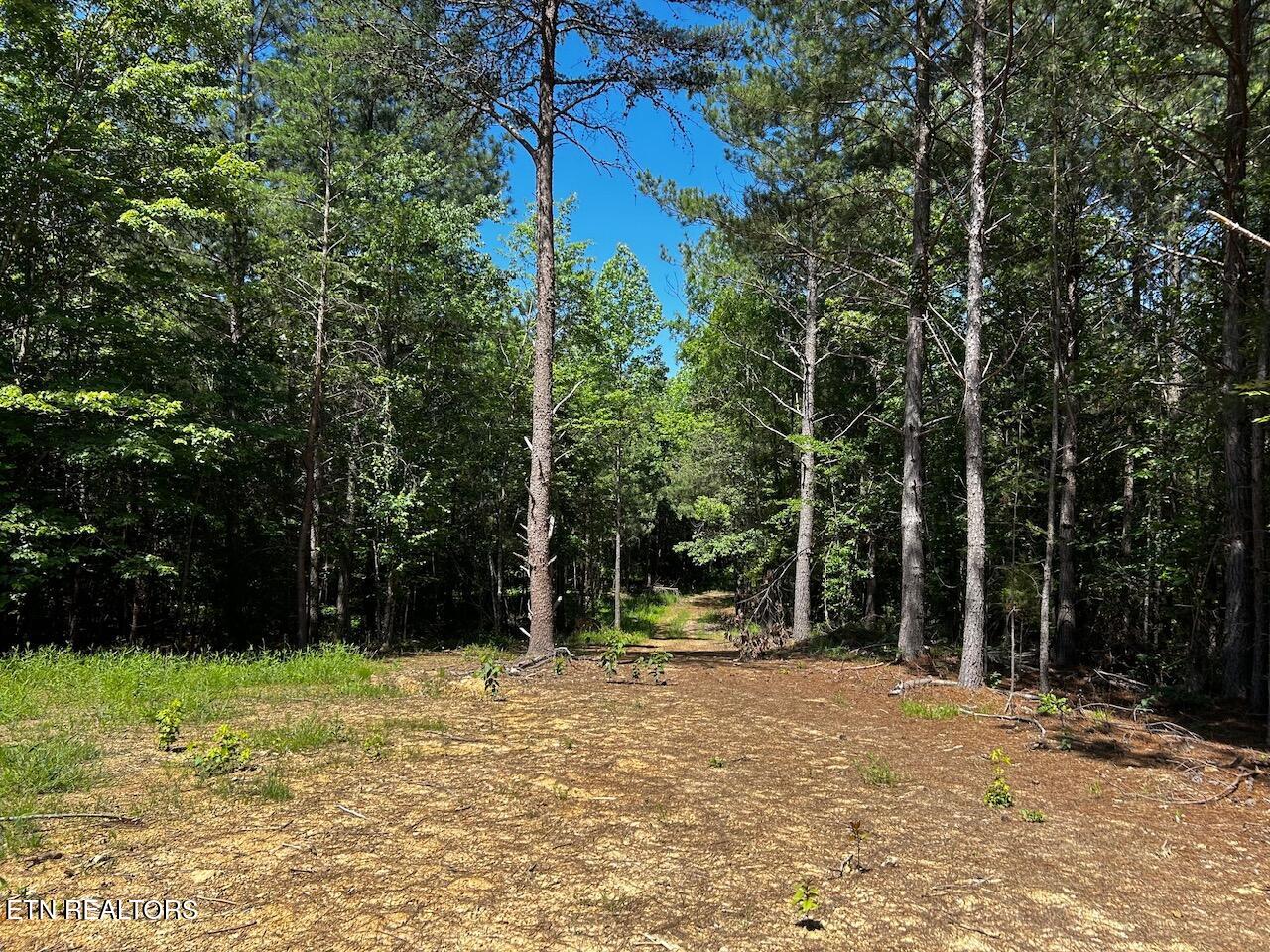 34 Acres State Highway 304 Ten Mile TN 37880