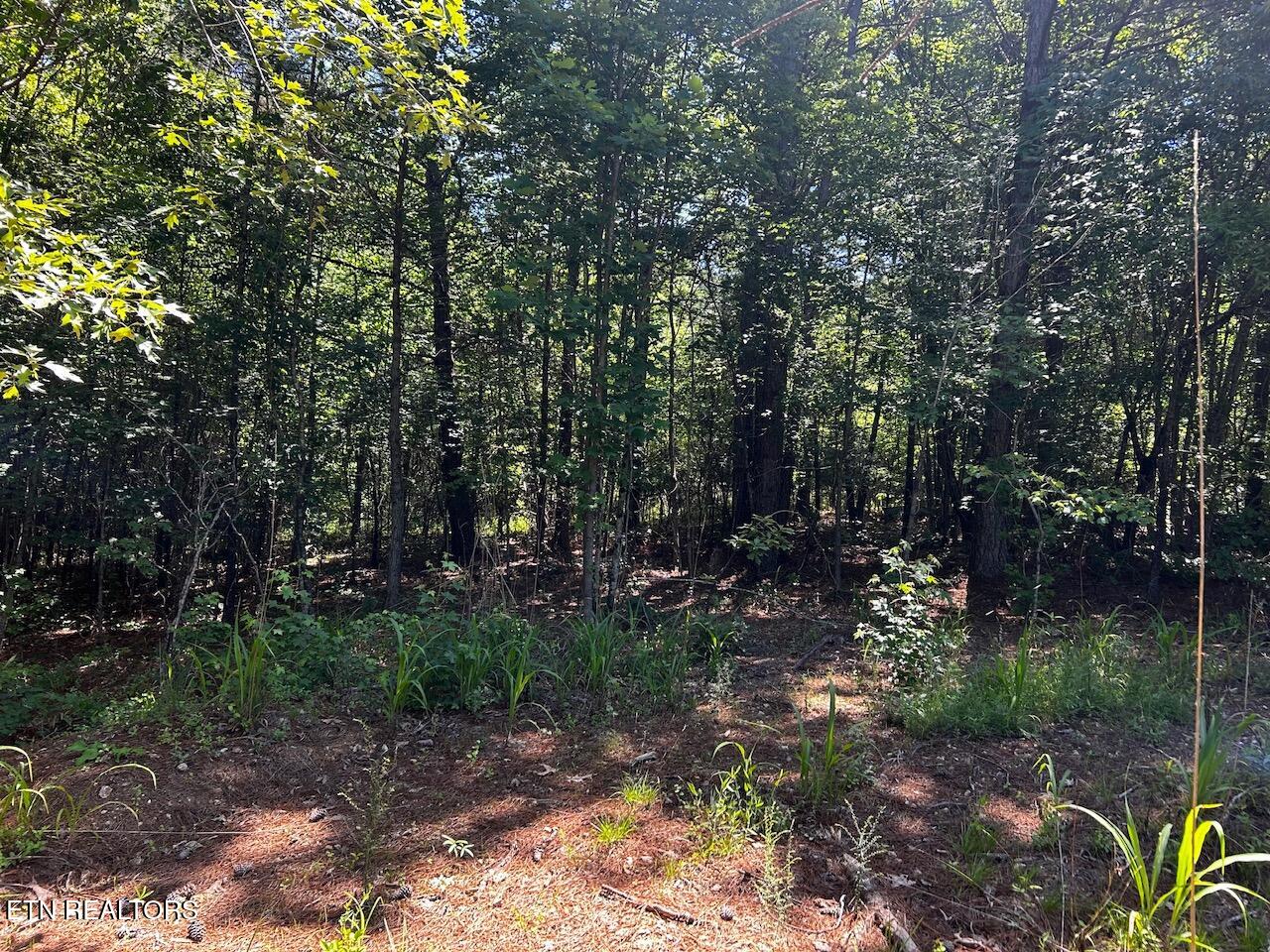 34 Acres State Highway 304 Ten Mile TN 37880