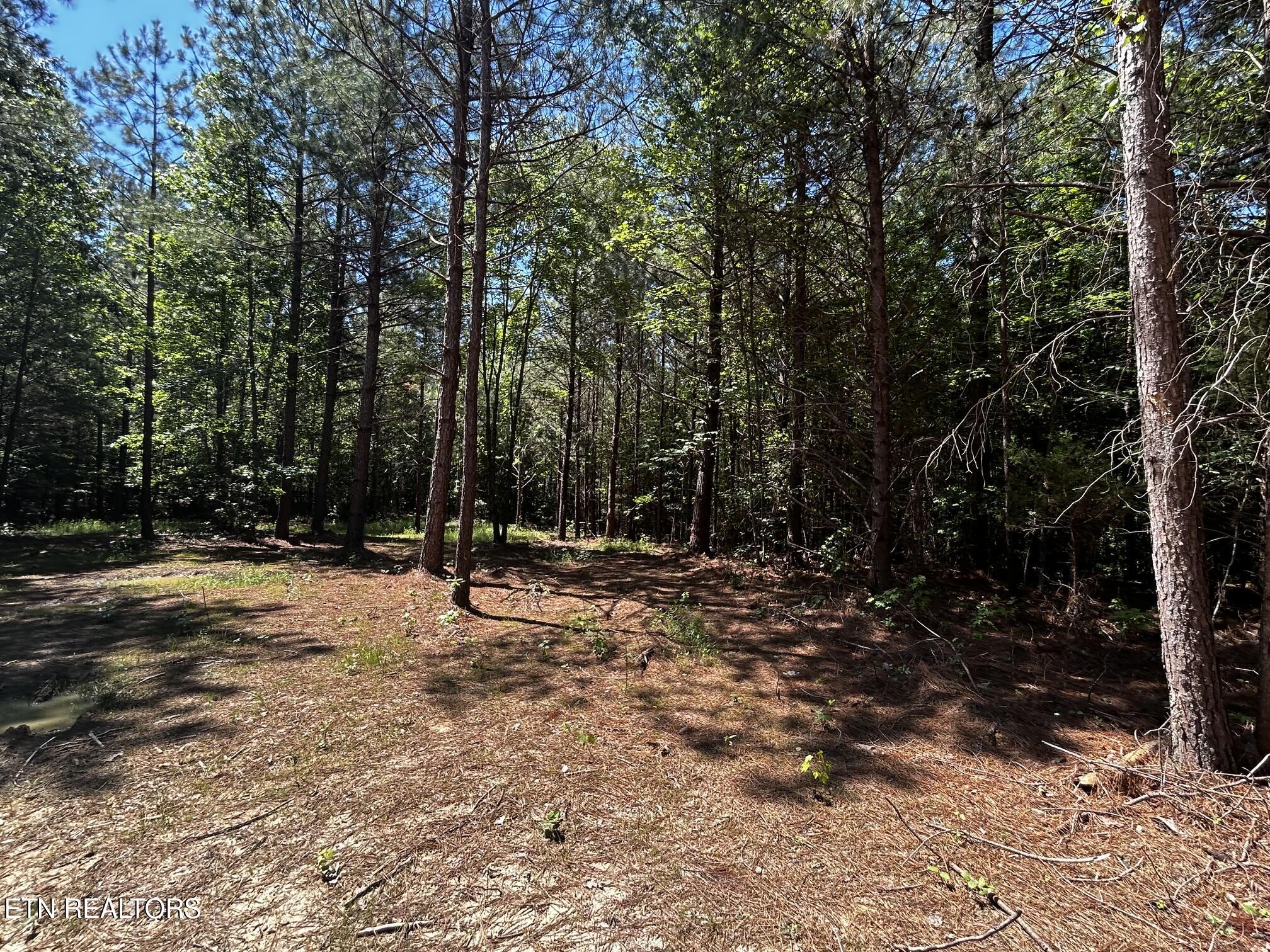34 Acres State Highway 304 Ten Mile TN 37880