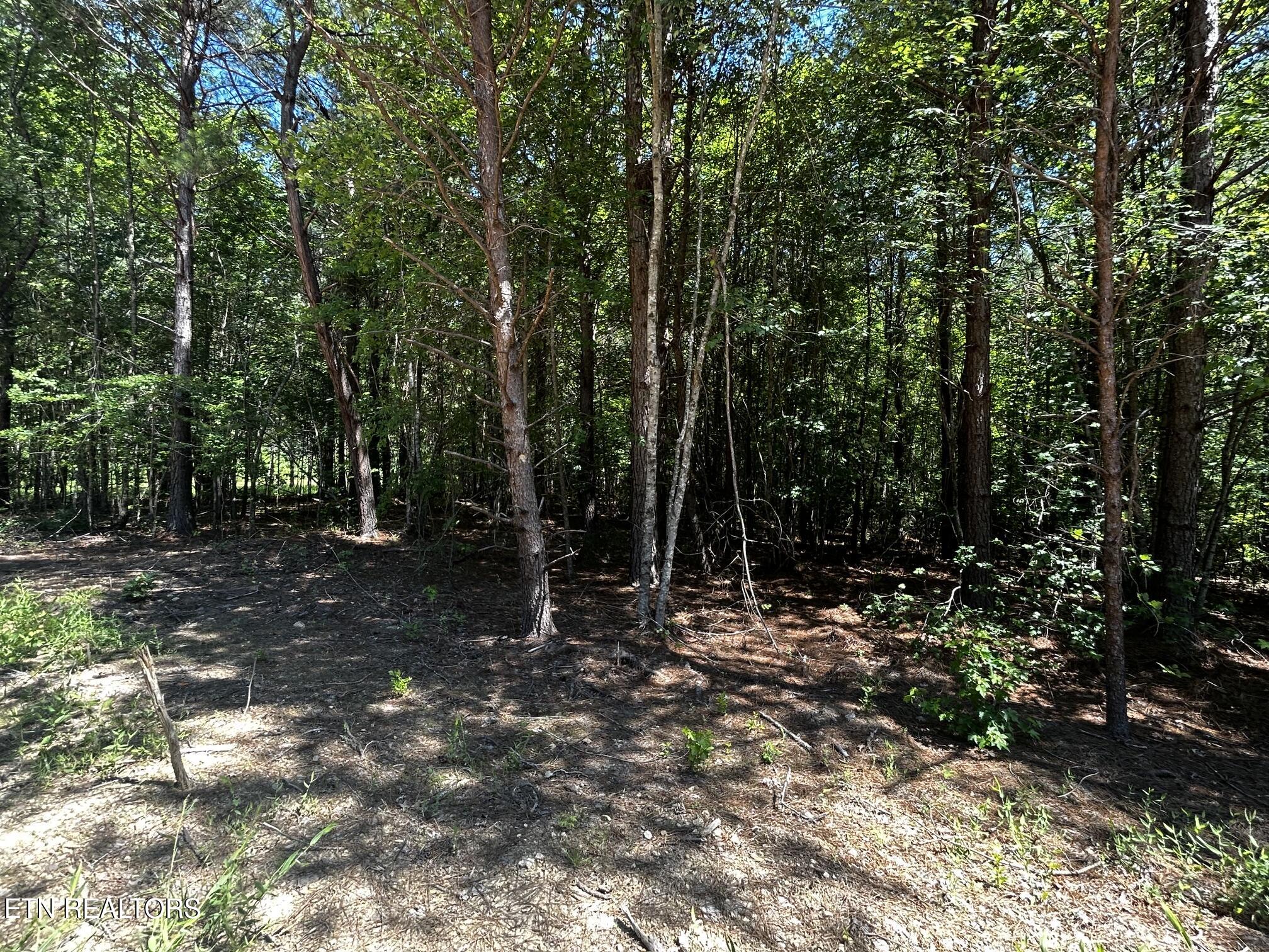 34 Acres State Highway 304 Ten Mile TN 37880