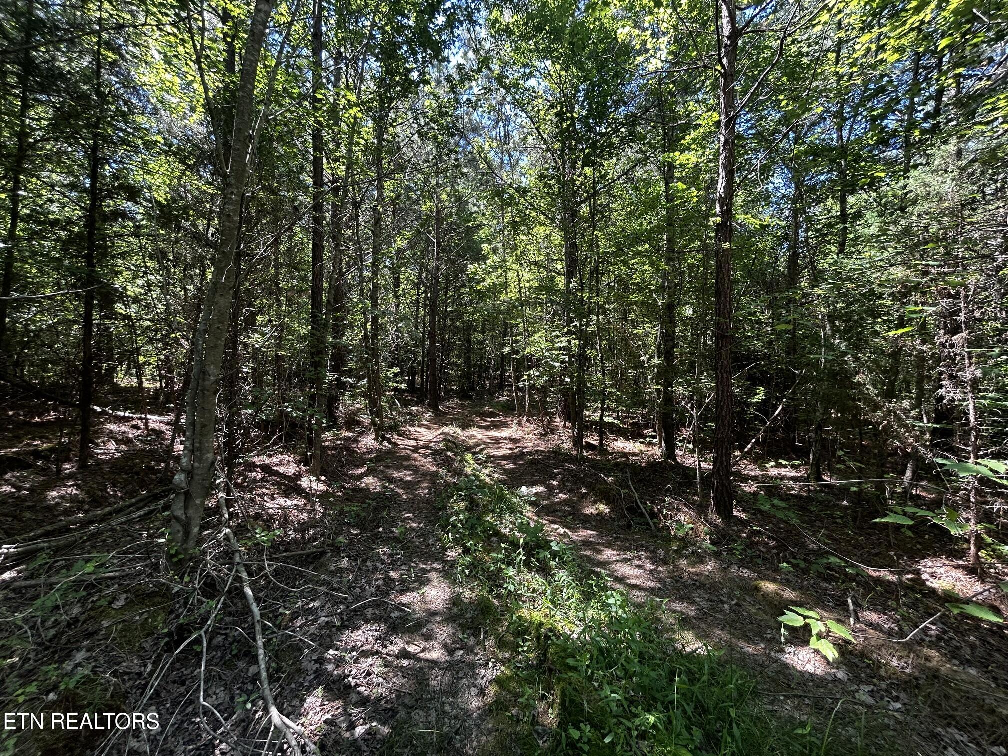 34 Acres State Highway 304 Ten Mile TN 37880