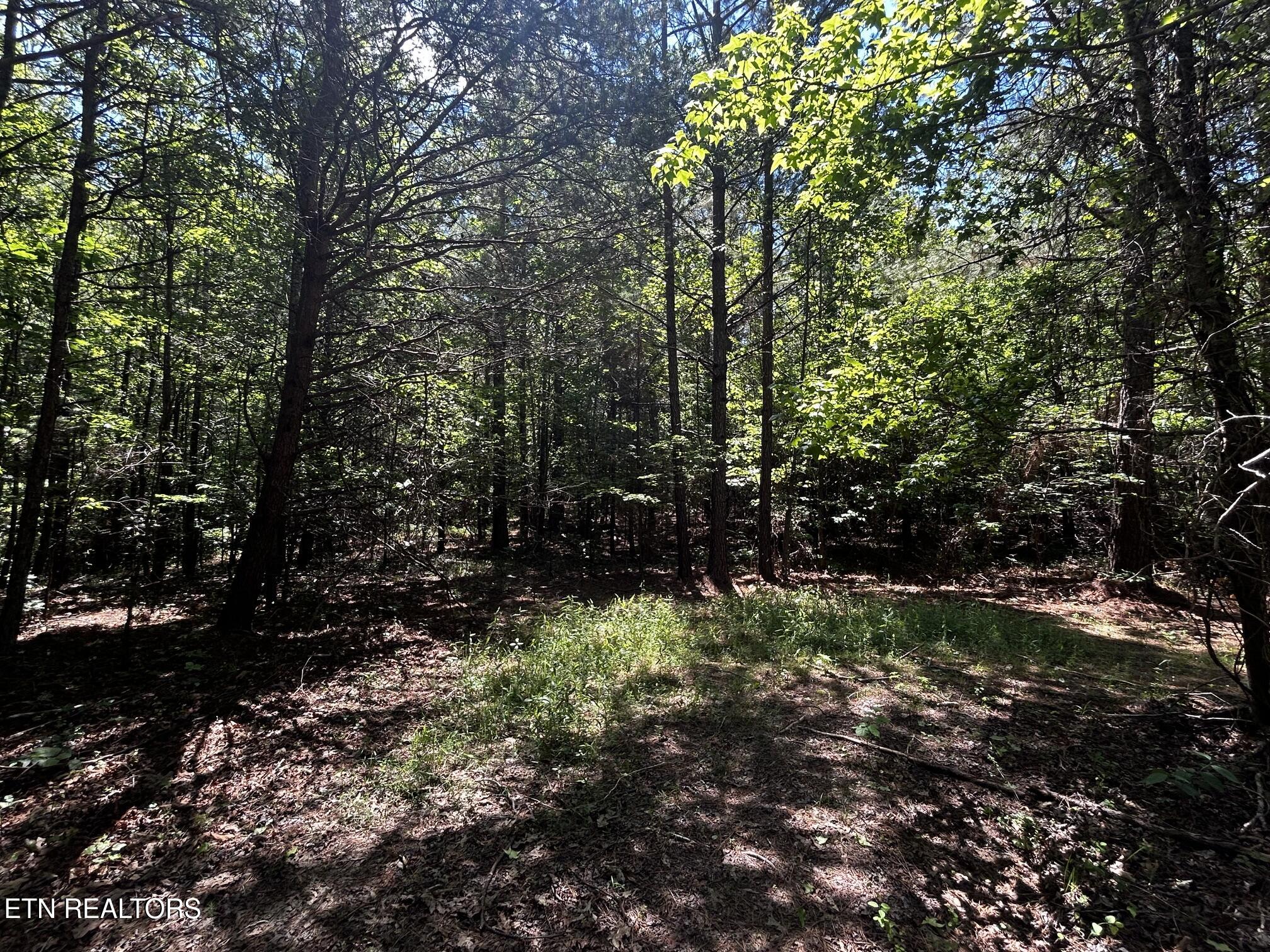 34 Acres State Highway 304 Ten Mile TN 37880