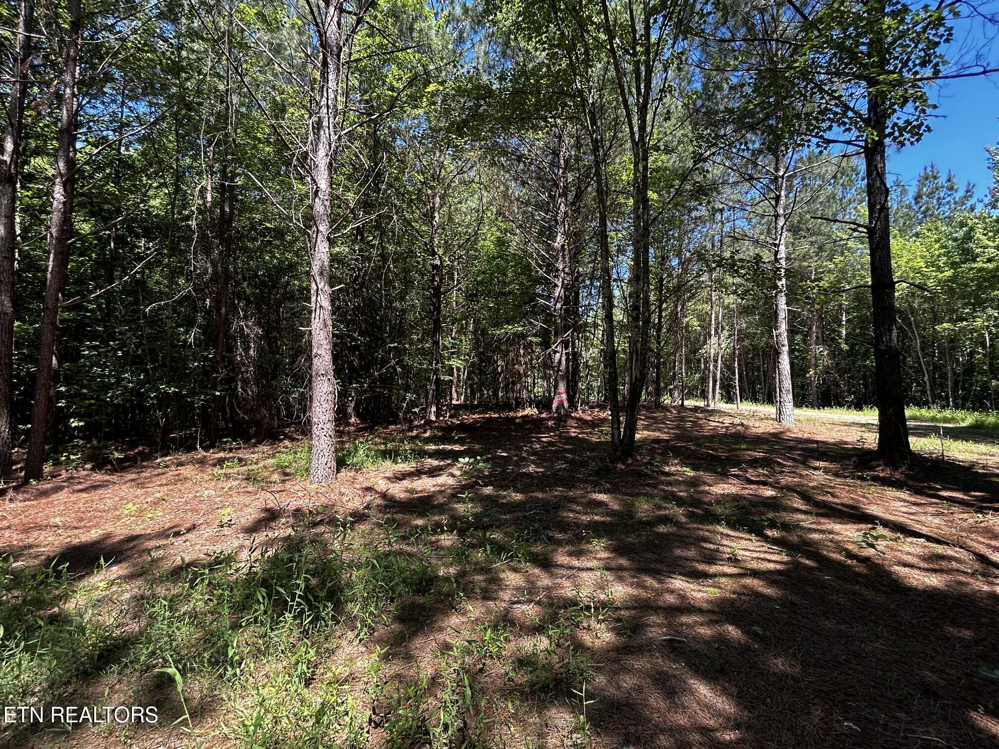 34 Acres State Highway 304 Ten Mile TN 37880