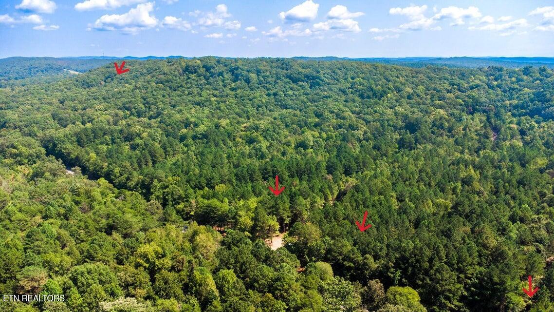 34 Acres State Highway 304 Ten Mile TN 37880