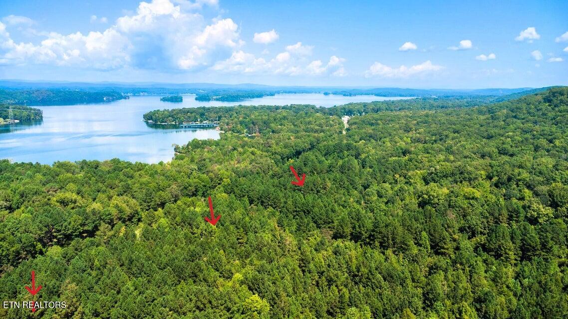 34 Acres State Highway 304 Ten Mile TN 37880