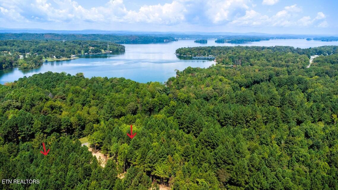34 Acres State Highway 304 Ten Mile TN 37880