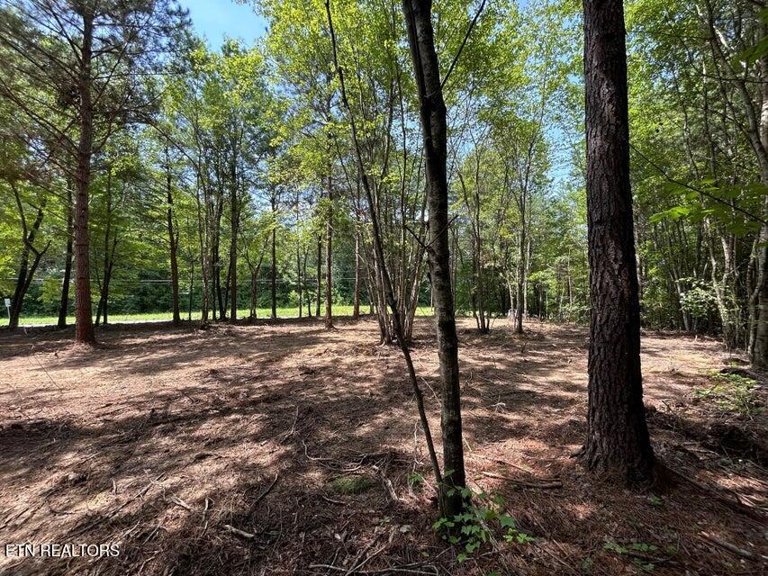 34 Acres State Highway 304 Ten Mile TN 37880