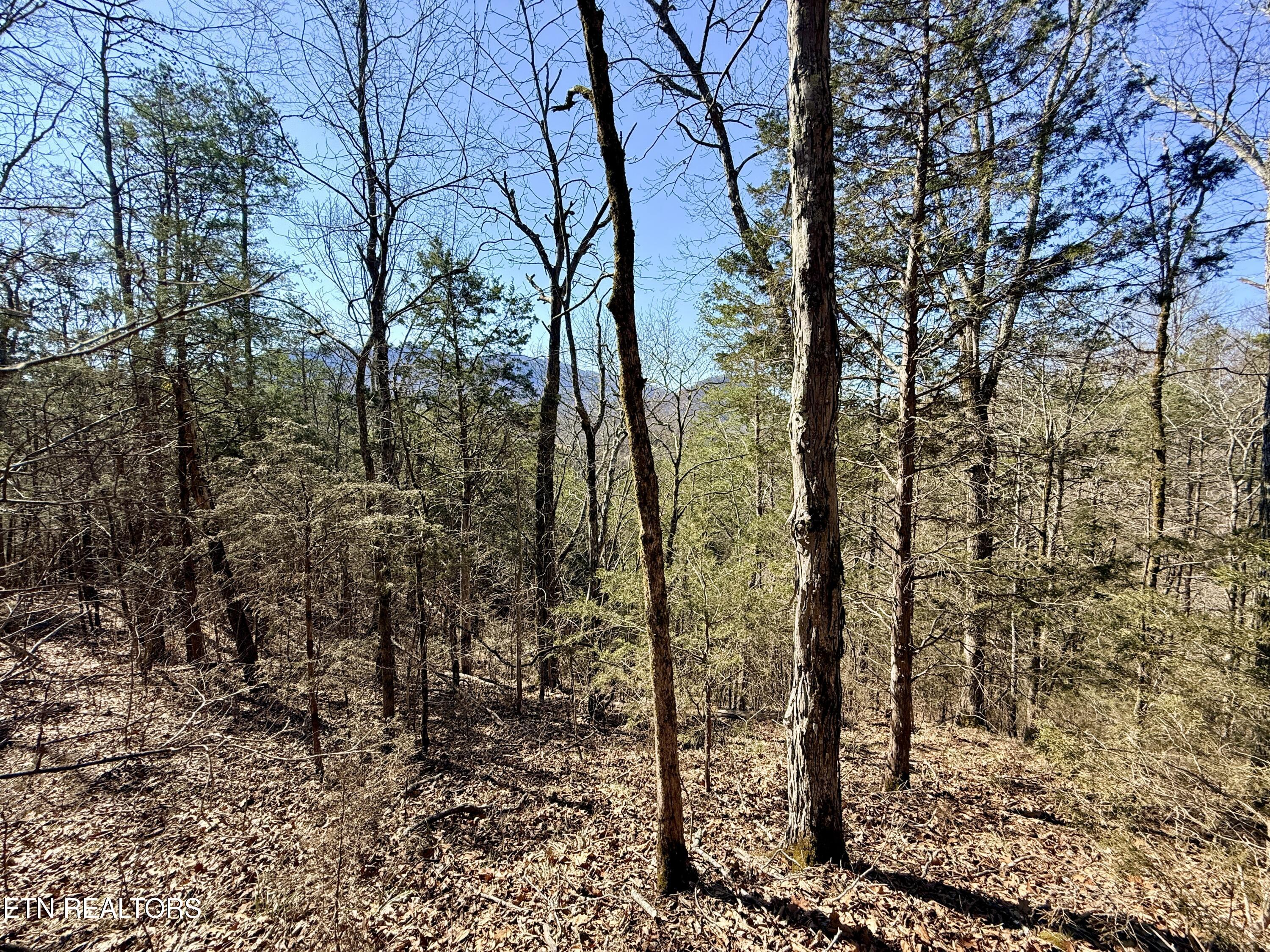 Sugar Loaf Road Sevierville TN 37876