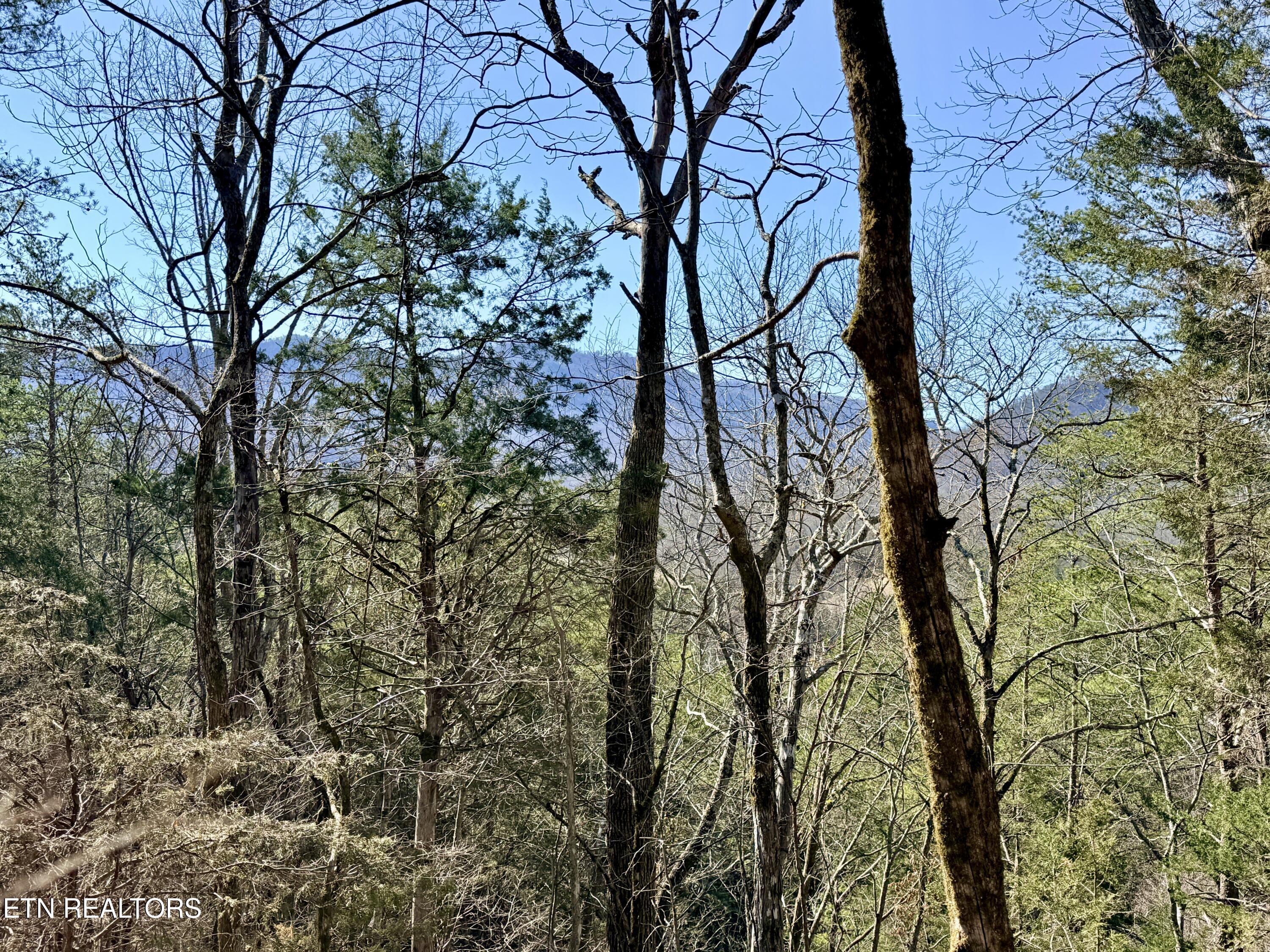 Sugar Loaf Road Sevierville TN 37876