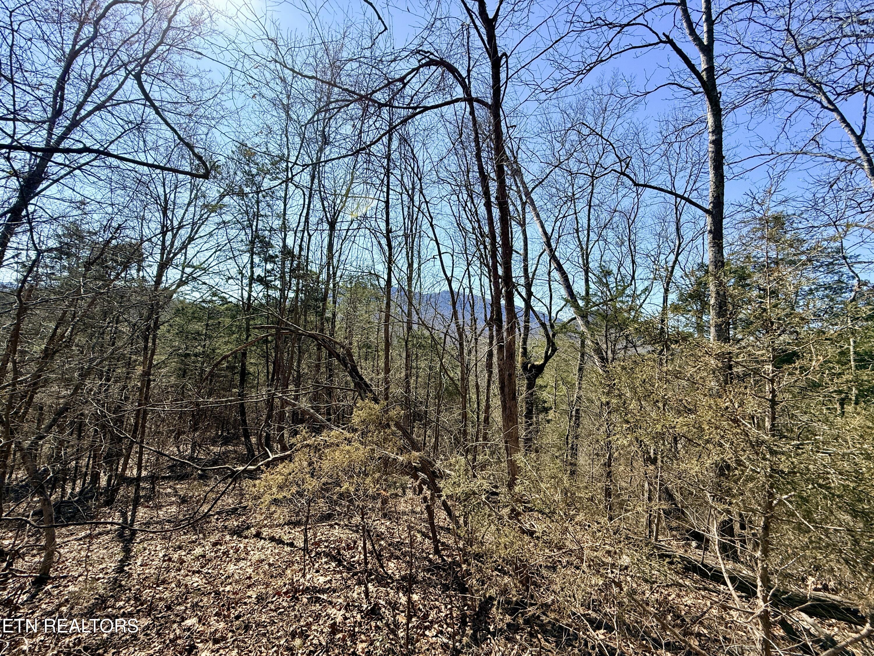 Sugar Loaf Road Sevierville TN 37876