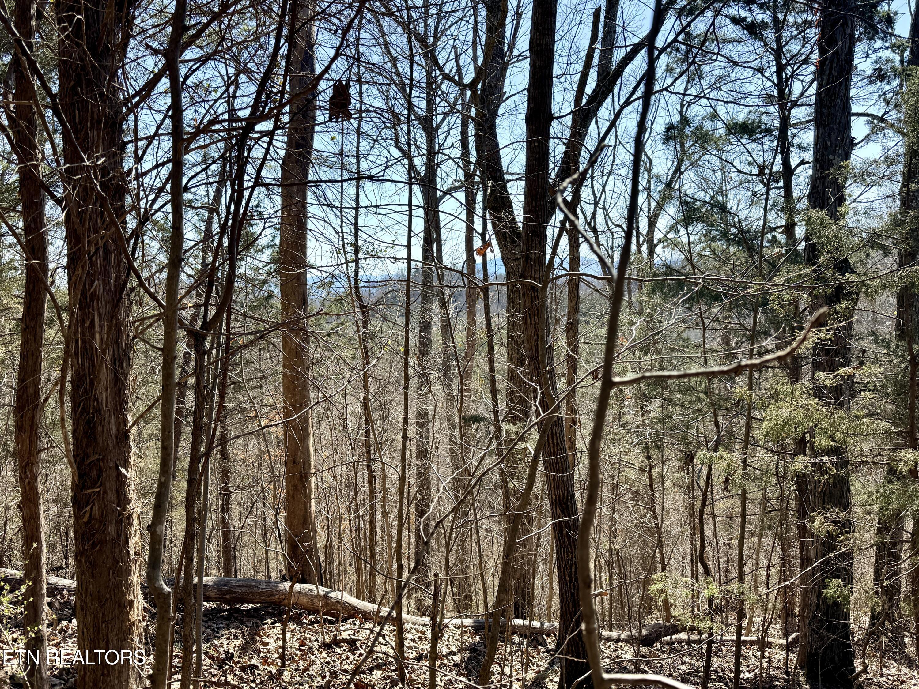 Sugar Loaf Road Sevierville TN 37876