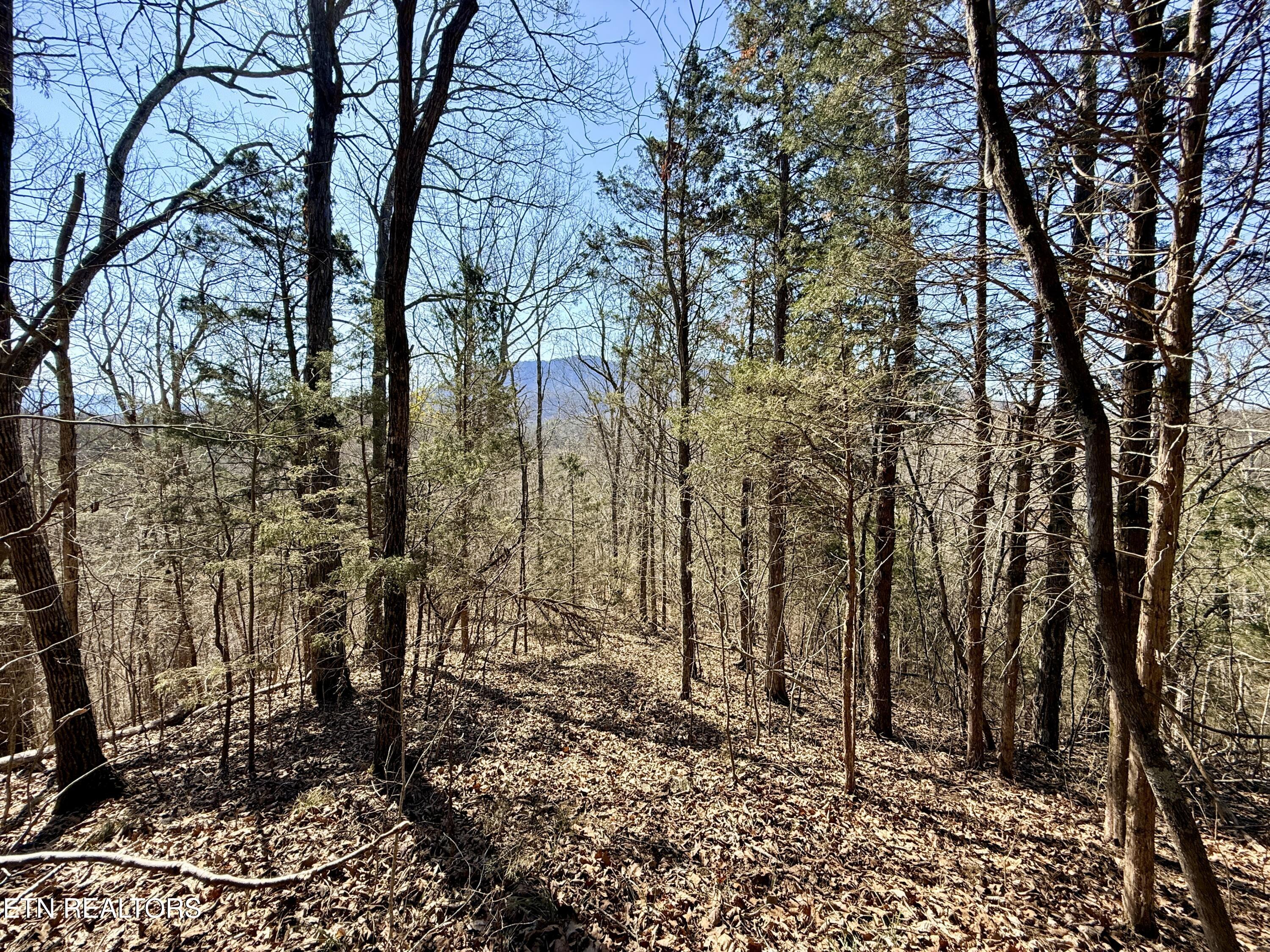 Sugar Loaf Road Sevierville TN 37876