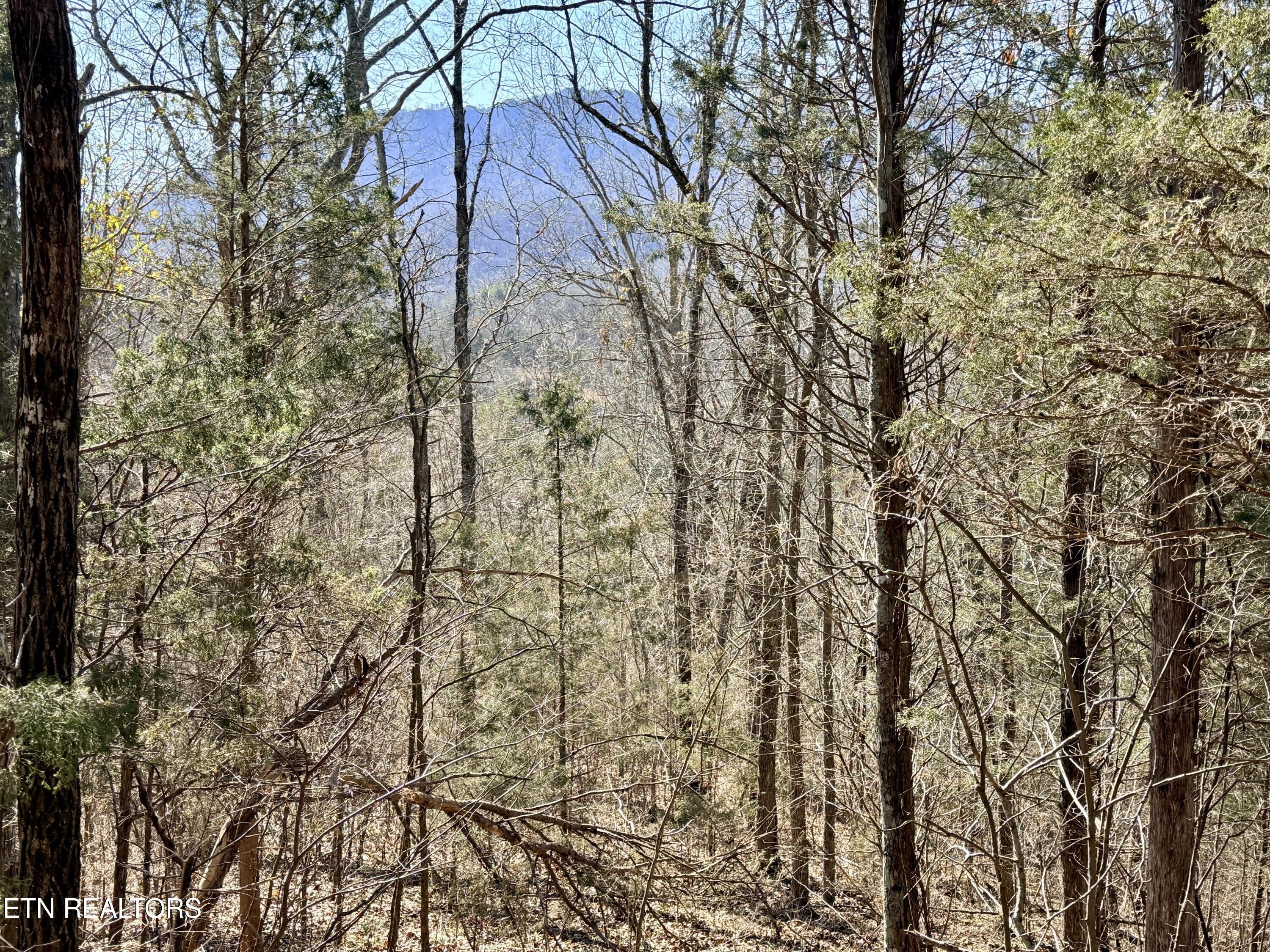 Sugar Loaf Road Sevierville TN 37876