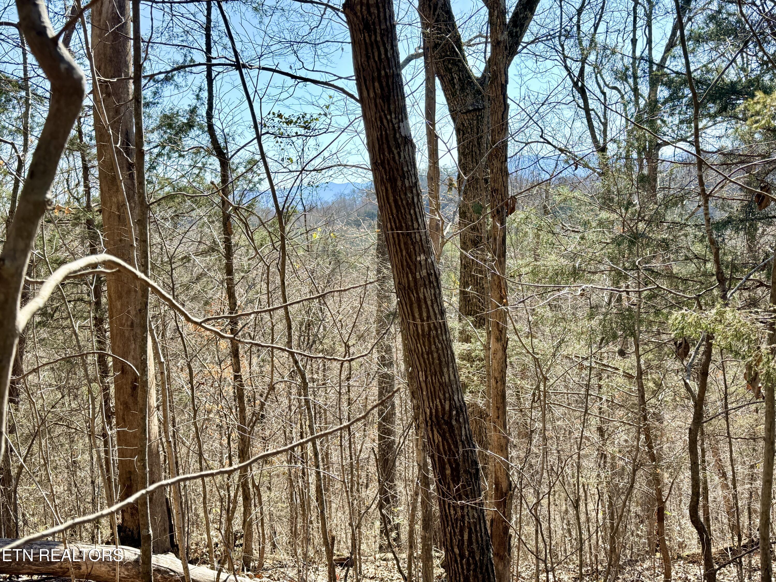 Sugar Loaf Road Sevierville TN 37876