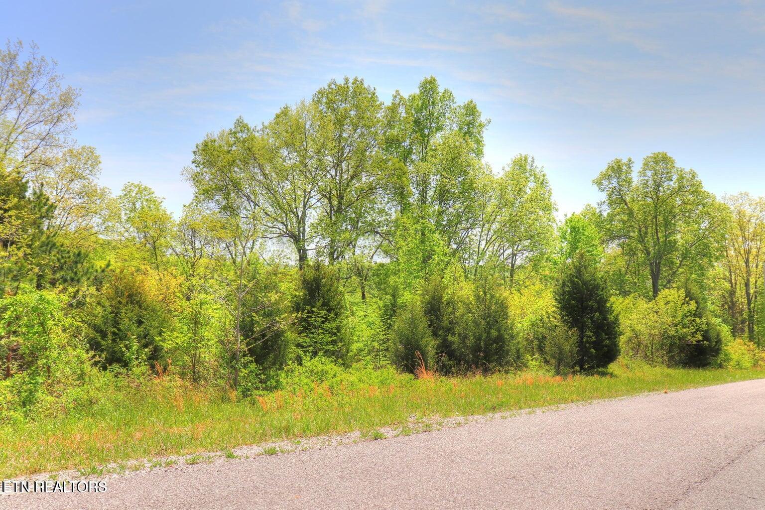 Lot 17 Saddleridge Drive Speedwell TN 37870