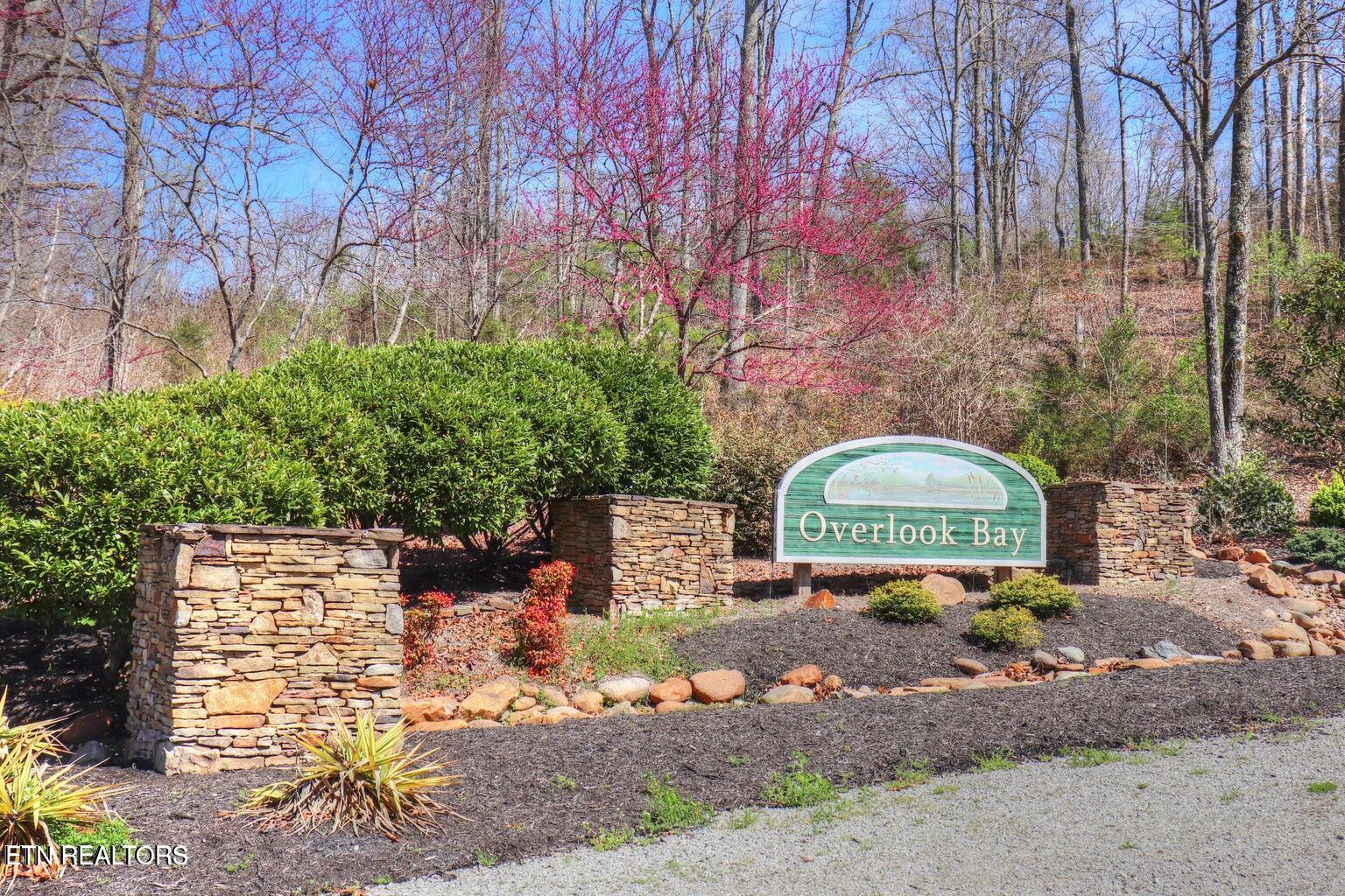 Lot 17 Saddleridge Drive Speedwell TN 37870