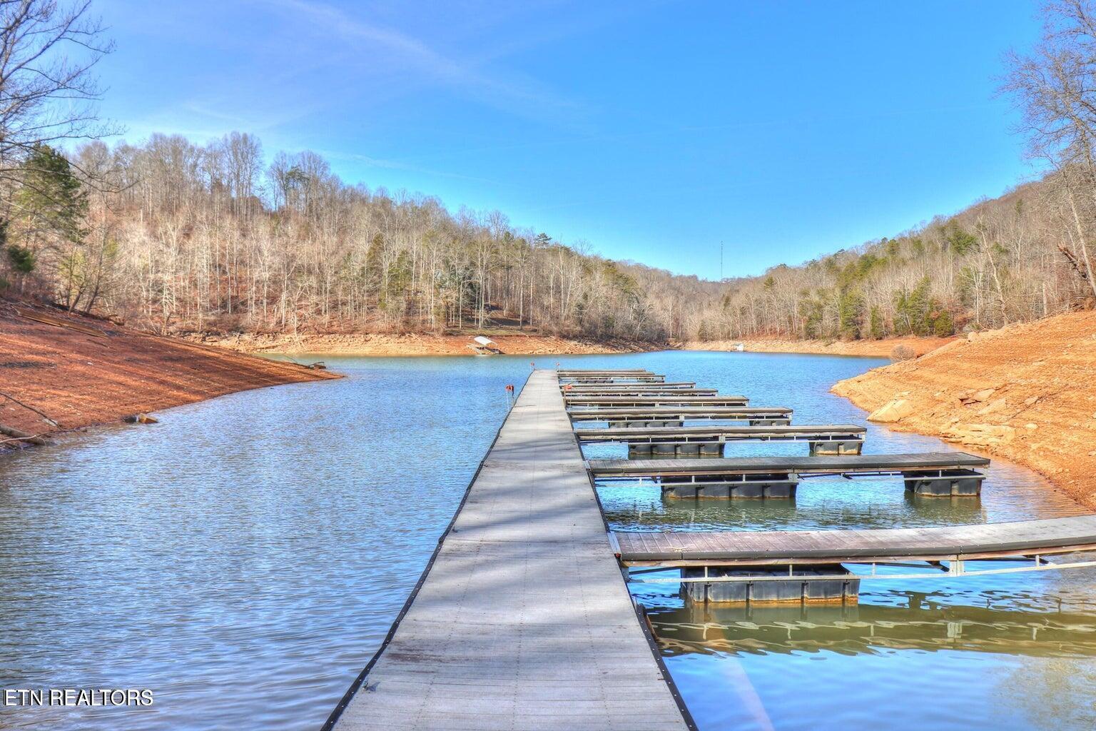 Lot 17 Saddleridge Drive Speedwell TN 37870