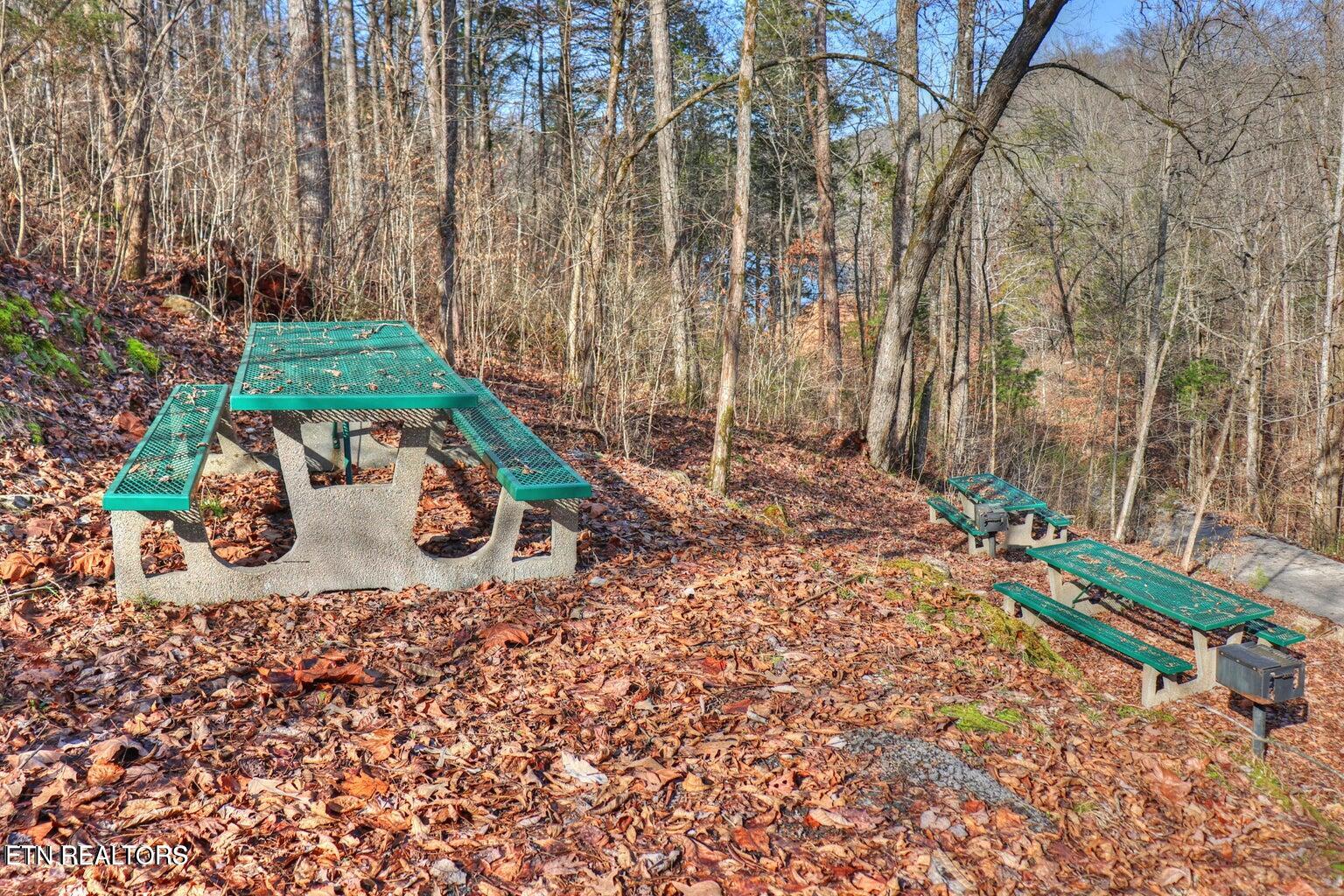Lot 17 Saddleridge Drive Speedwell TN 37870