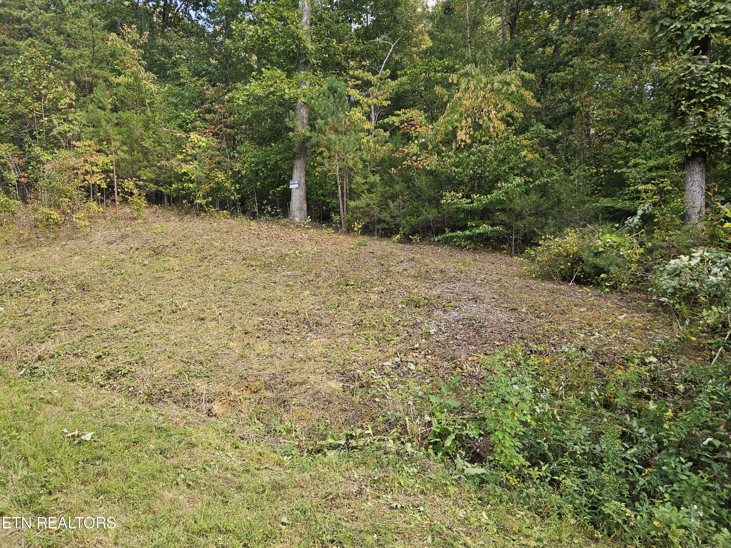 Lot 17 Saddleridge Drive Speedwell TN 37870