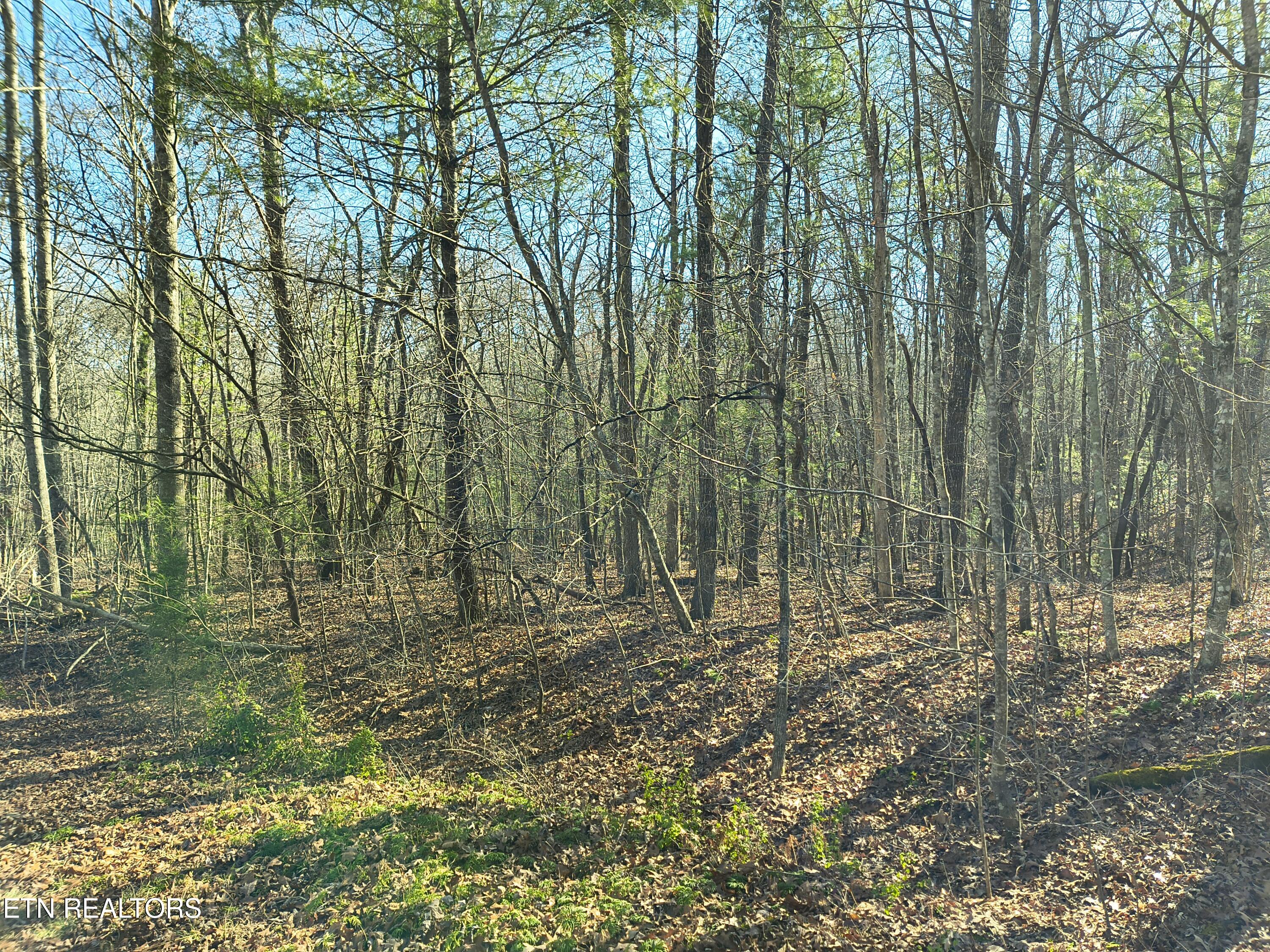 224 Newgate Road Crossville TN 38558
