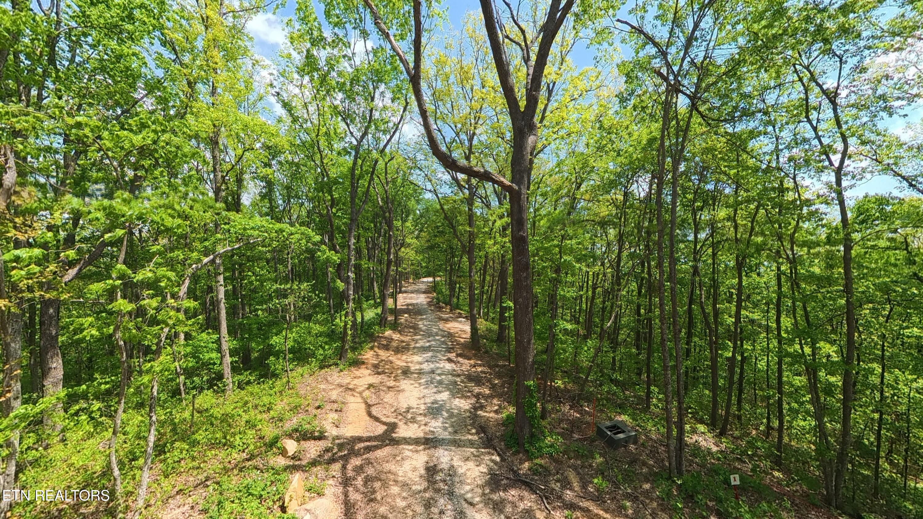 177 Eagle View Lane Jacksboro TN 37757