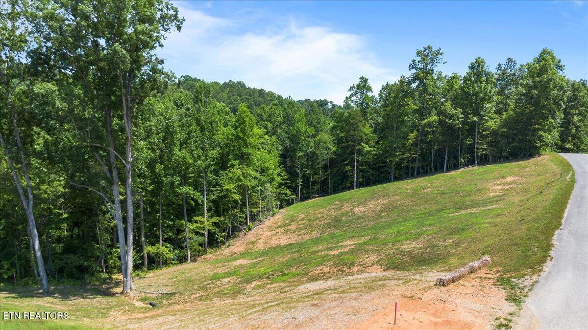 2321 Cove Pointe Road Lafollette TN 37766