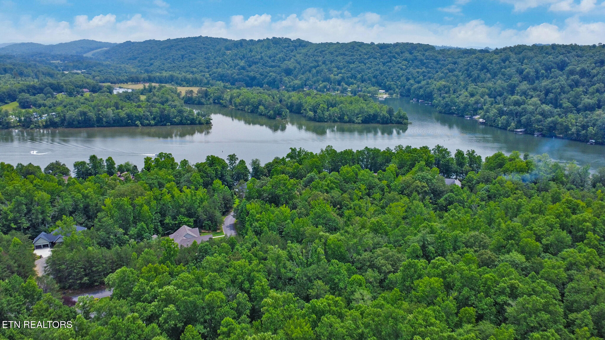 Indigo Bunting Drive Harriman TN 37748