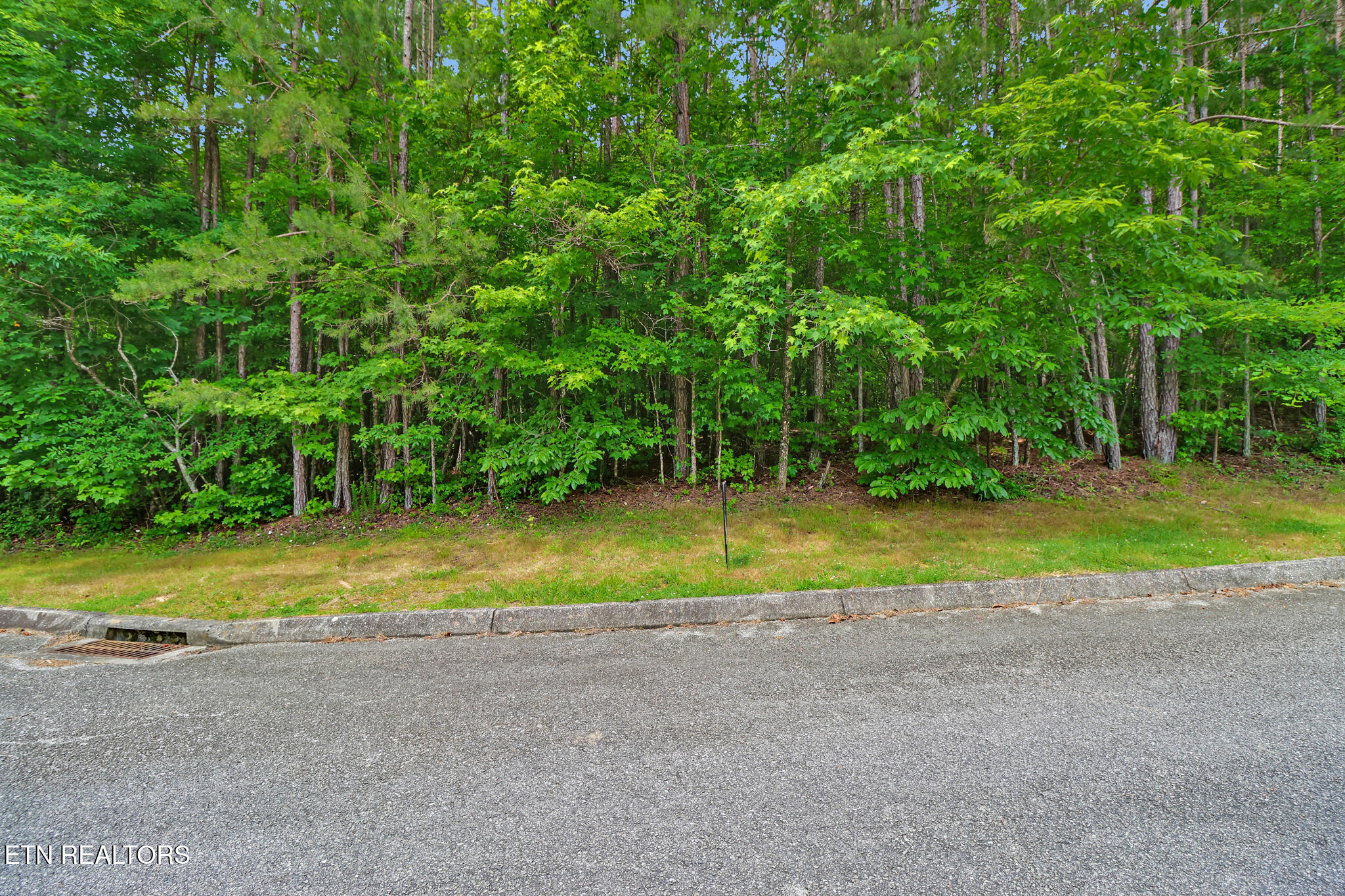 Indigo Bunting Drive Harriman TN 37748