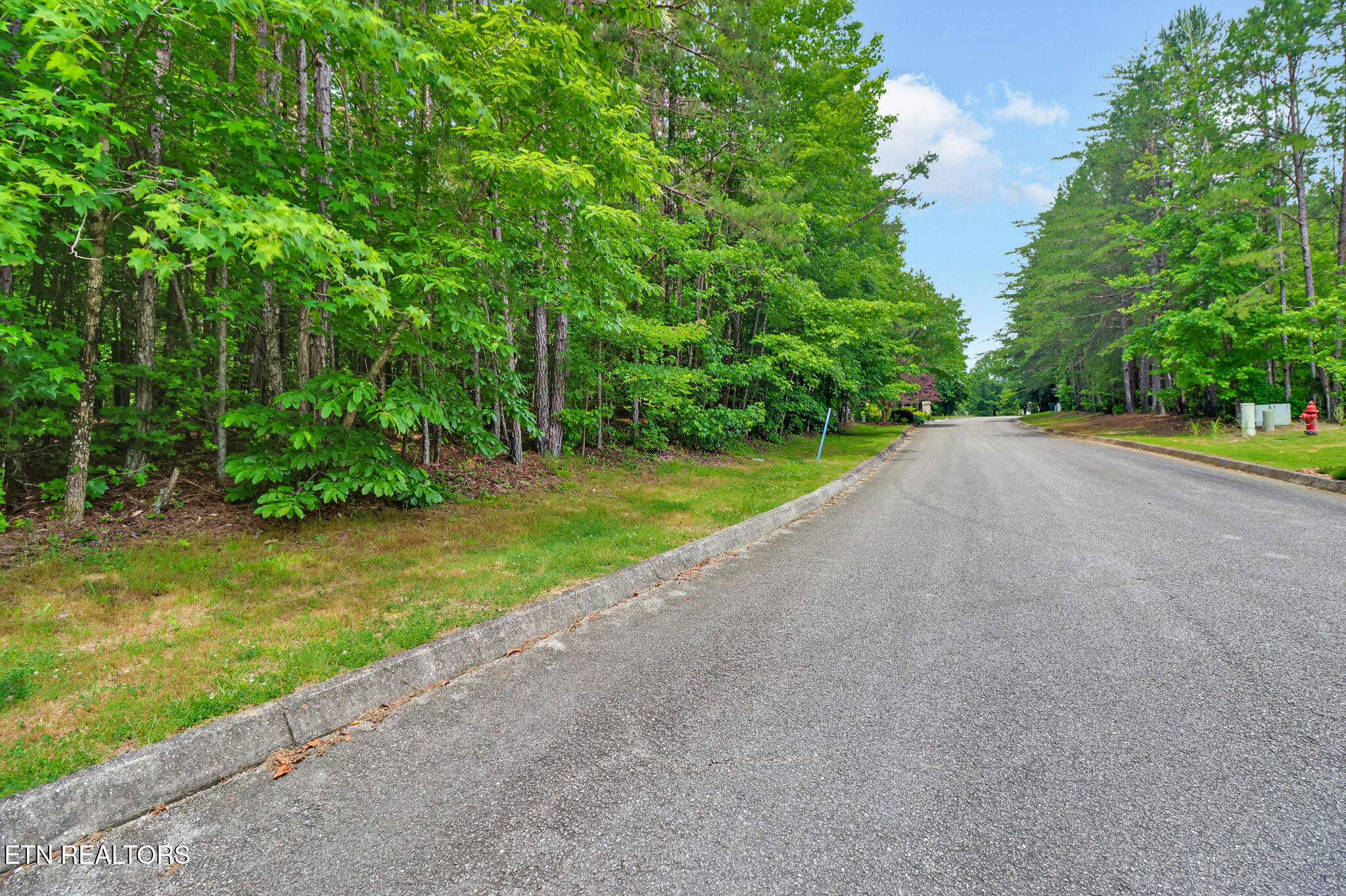 Indigo Bunting Drive Harriman TN 37748