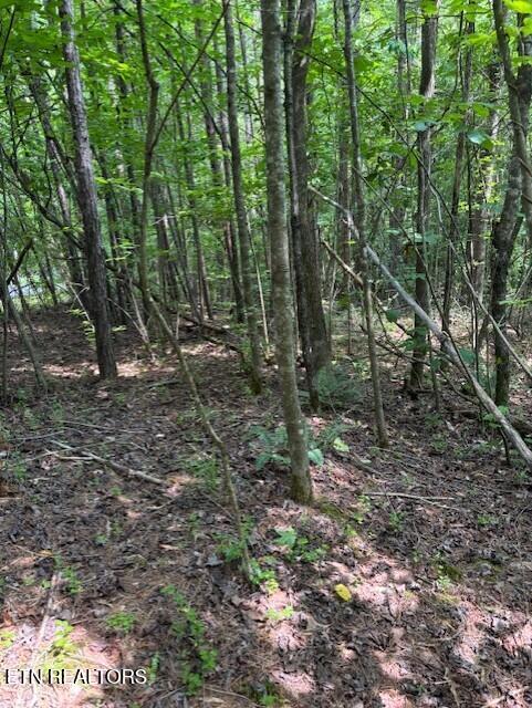 Indigo Bunting Drive Harriman TN 37748